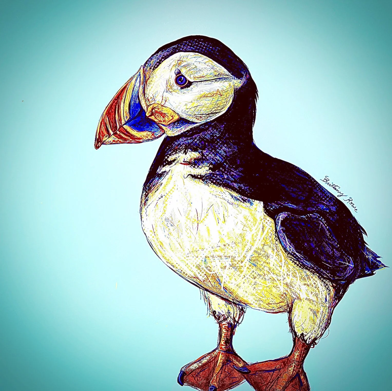 Puffin in Kodiak - Digital Painting