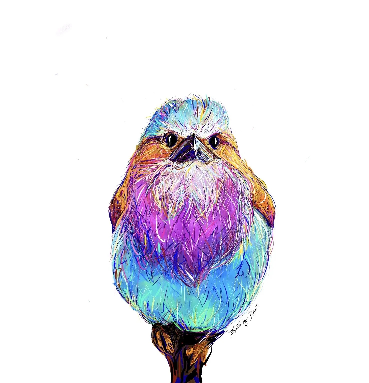 Bird in Color - Digital Painting