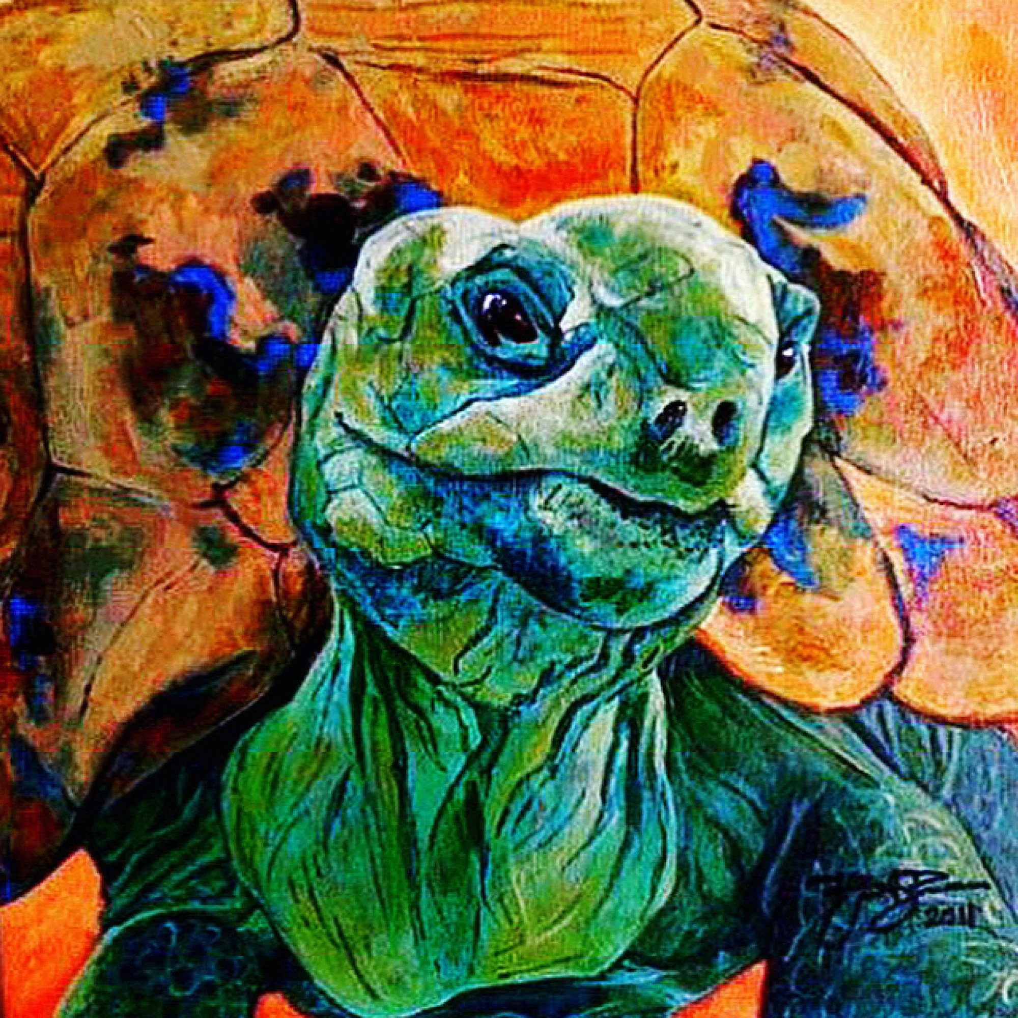 Ali the Aldabra Tortoise - Acrylic on Canvas