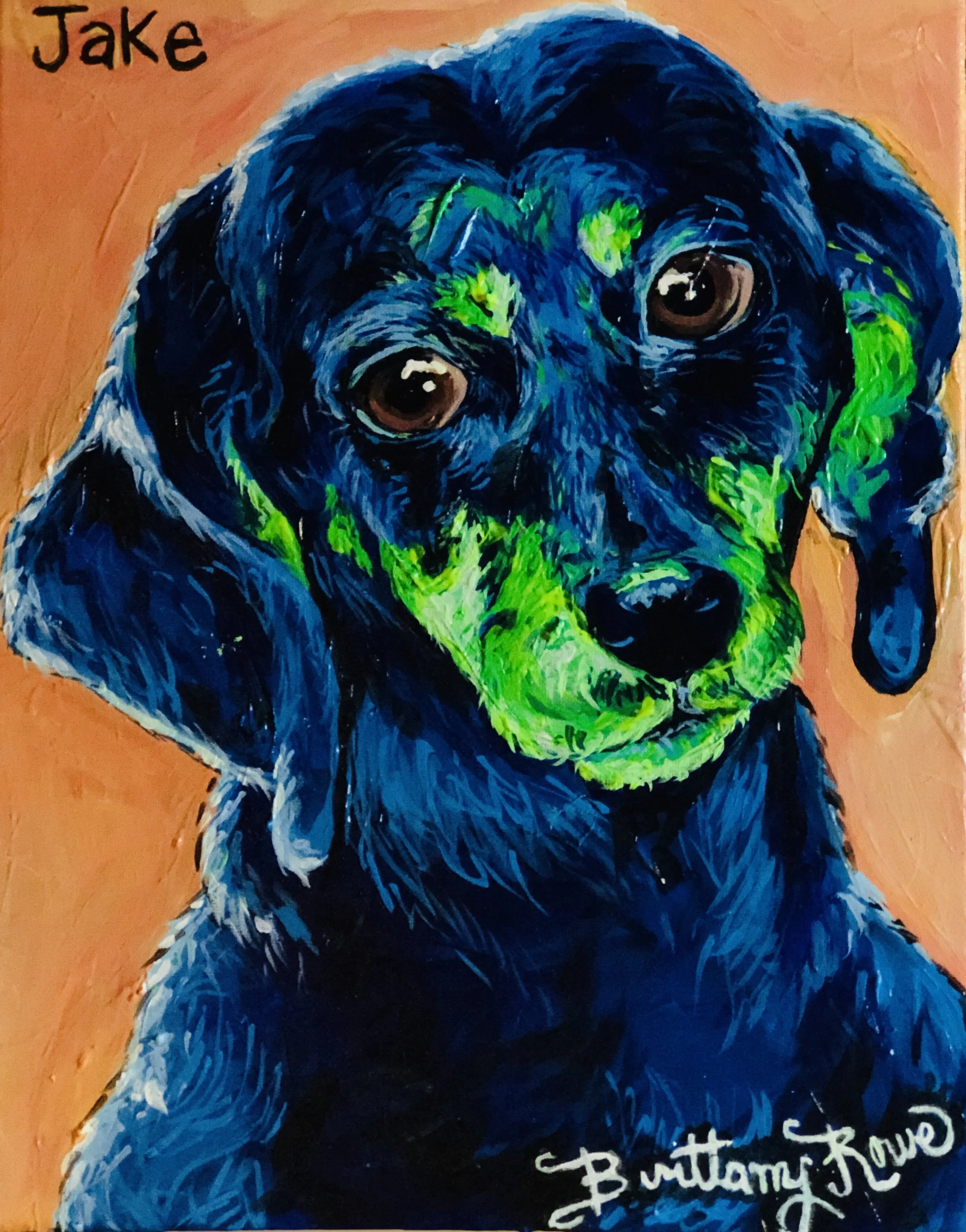 Jake the Dachshund - Acrylic on Canvas