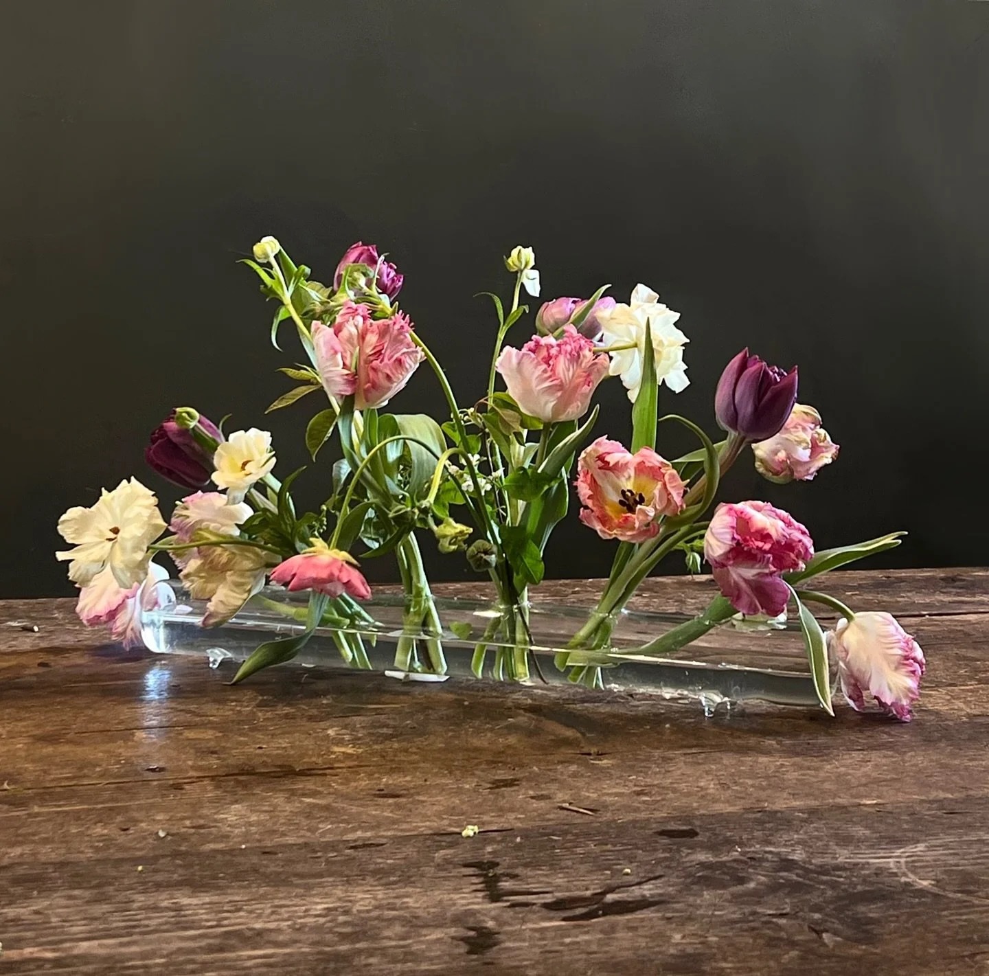 spring fleurs | parrot tulips &amp; butterfly ranunculus 

🧺🐥🌷