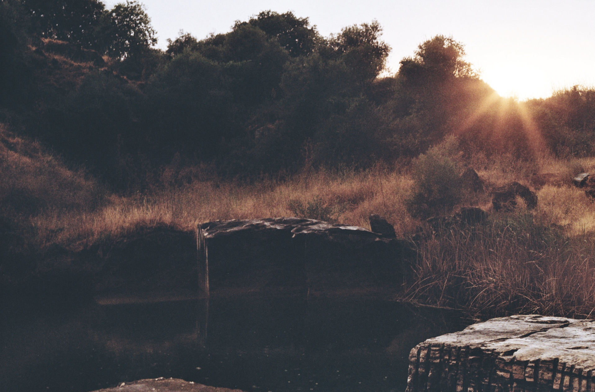 Capture d’écran 2026-03-18 à 00.14.06.png