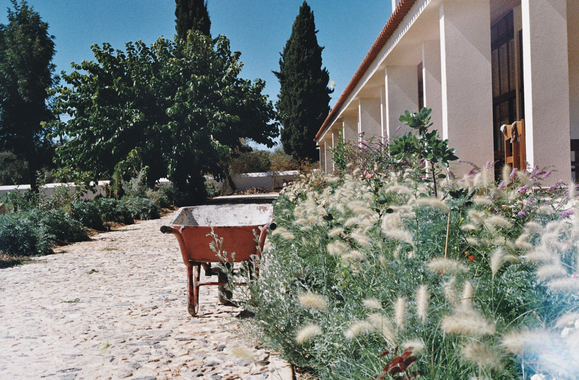 Capture d’écran 2026-03-18 à 00.13.01.png