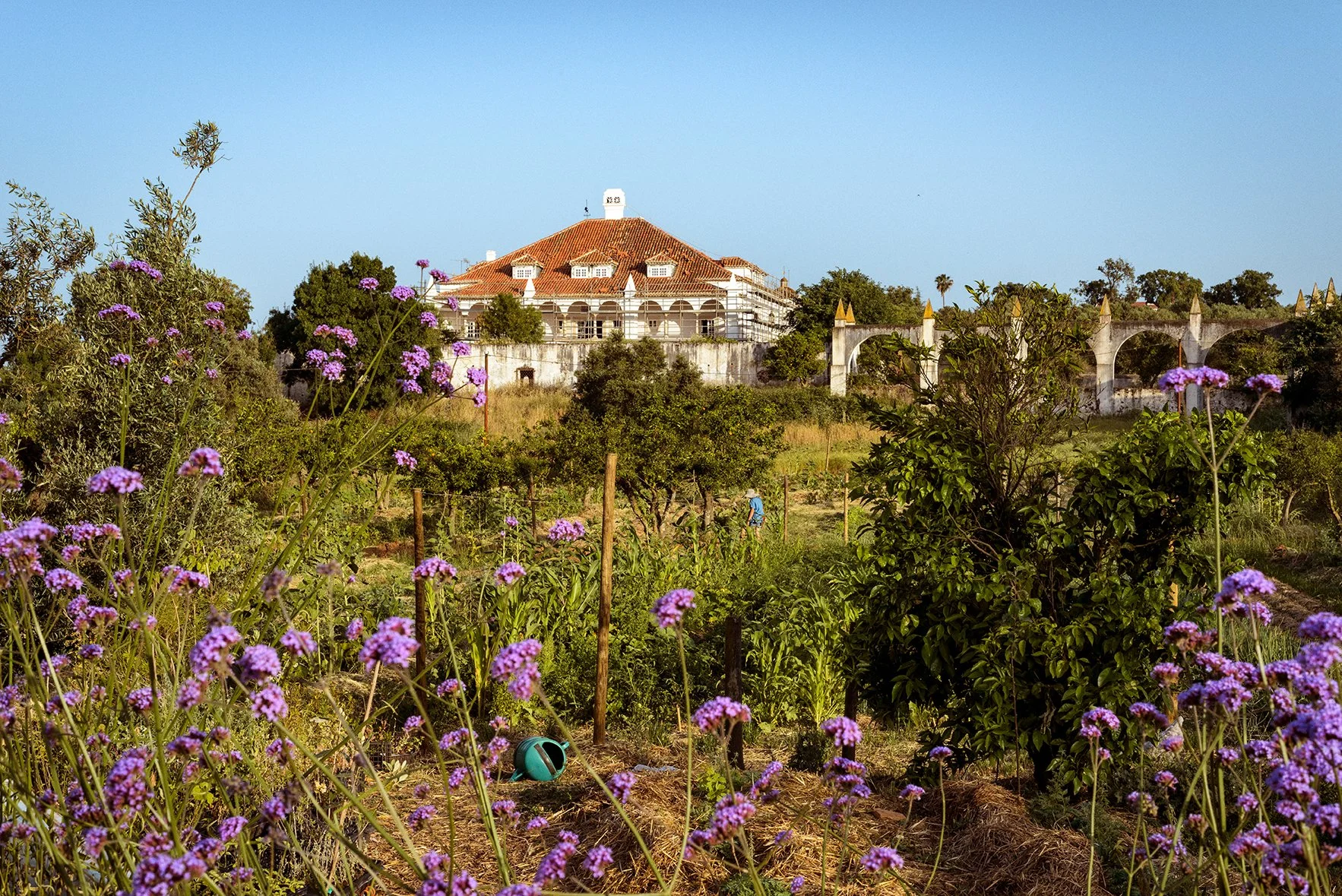 Calipo's colourful garden with the Palace in the background