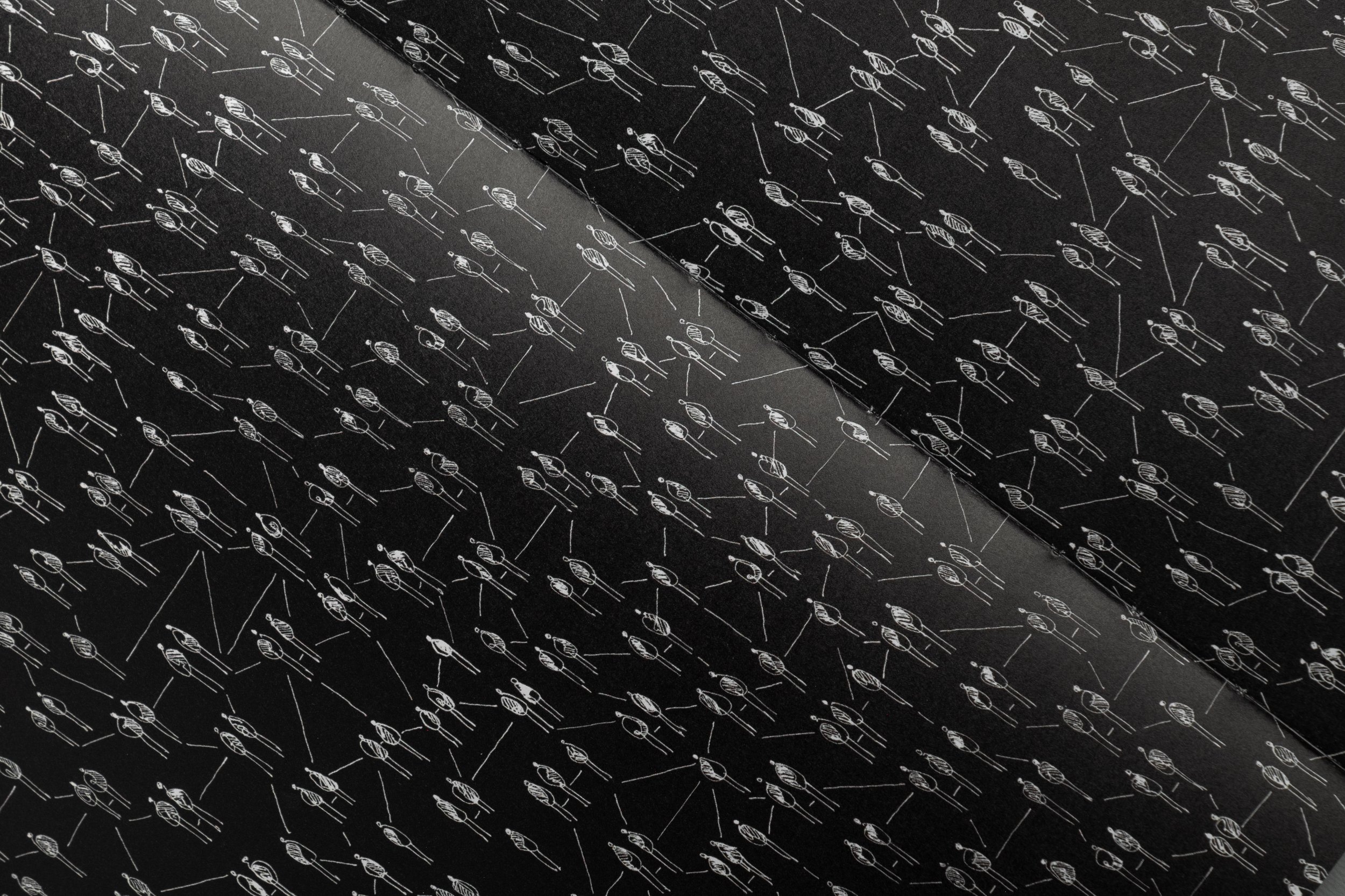 DSCF8991.jpg