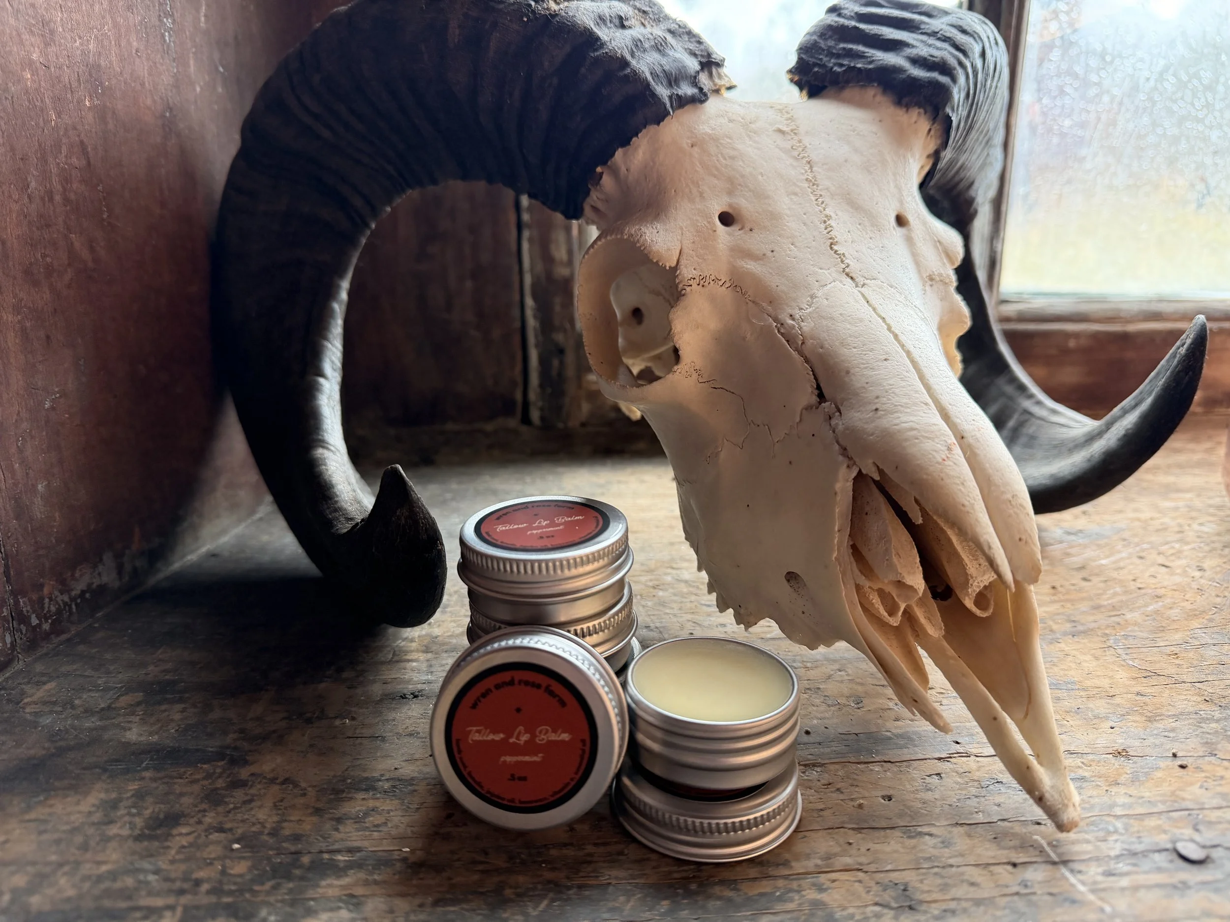 Tallow & Lanolin Lip Balm - Peppermint