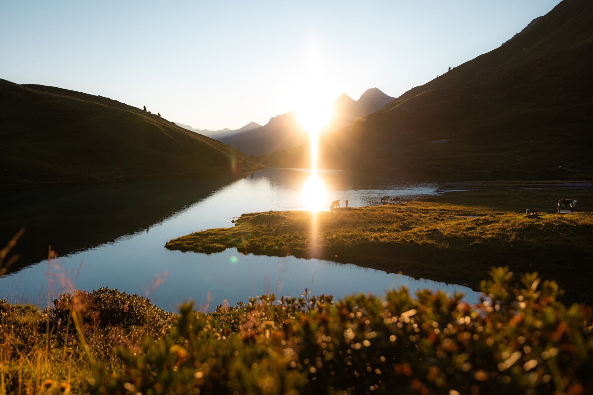 Arosa_Bergwelt_1 - Kopie.jpg