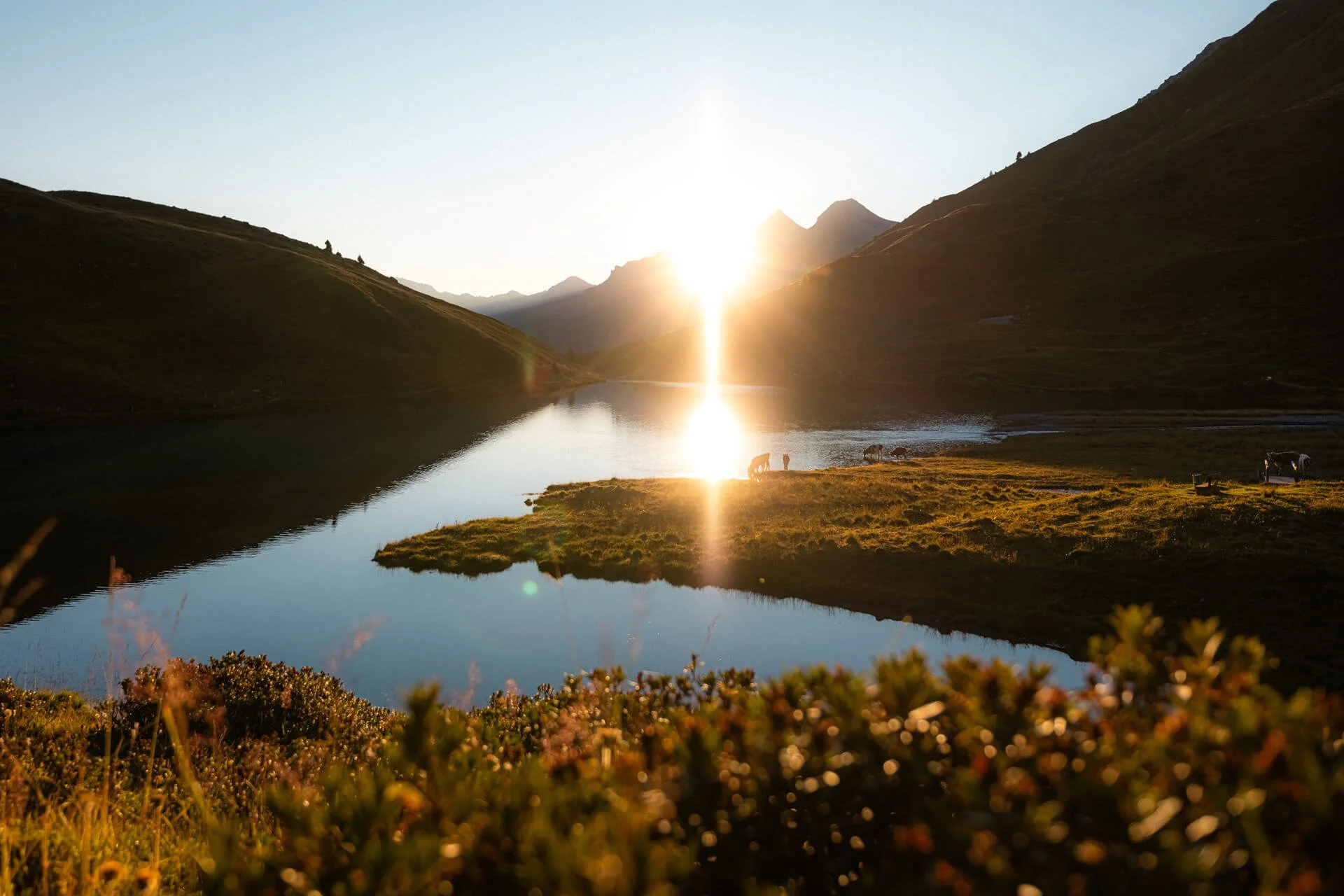 Arosa_Bergwelt_1 - Kopie.jpg