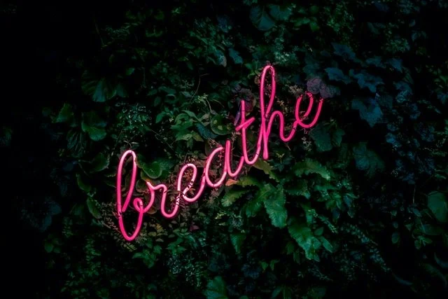 BrainFit Blog: Stress Shrinks the Brain—Calm Grows It Back