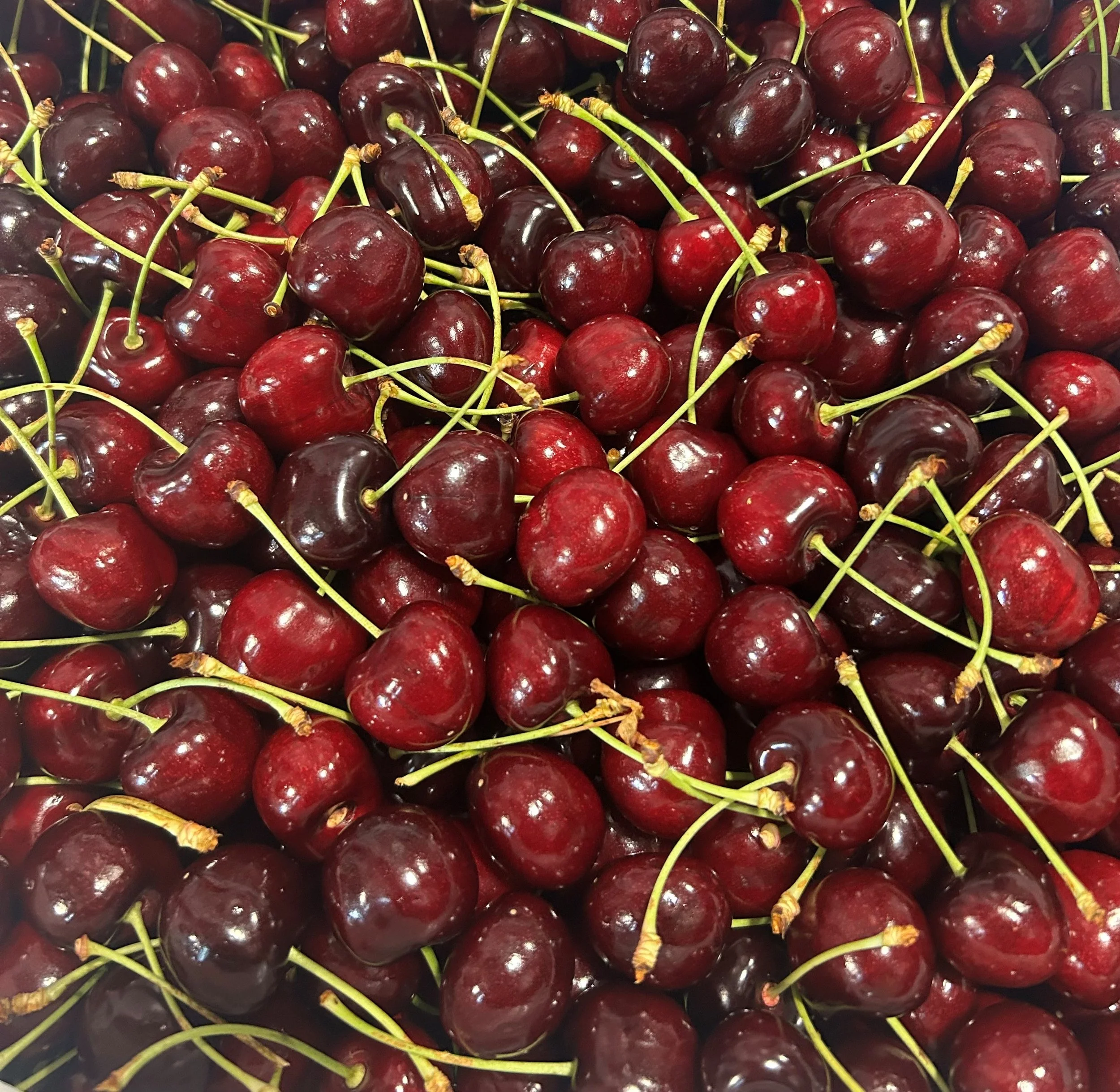 VALLIVUE FUNDRAISER FRESH CHERRIES GIFT BOX