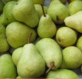 Pears