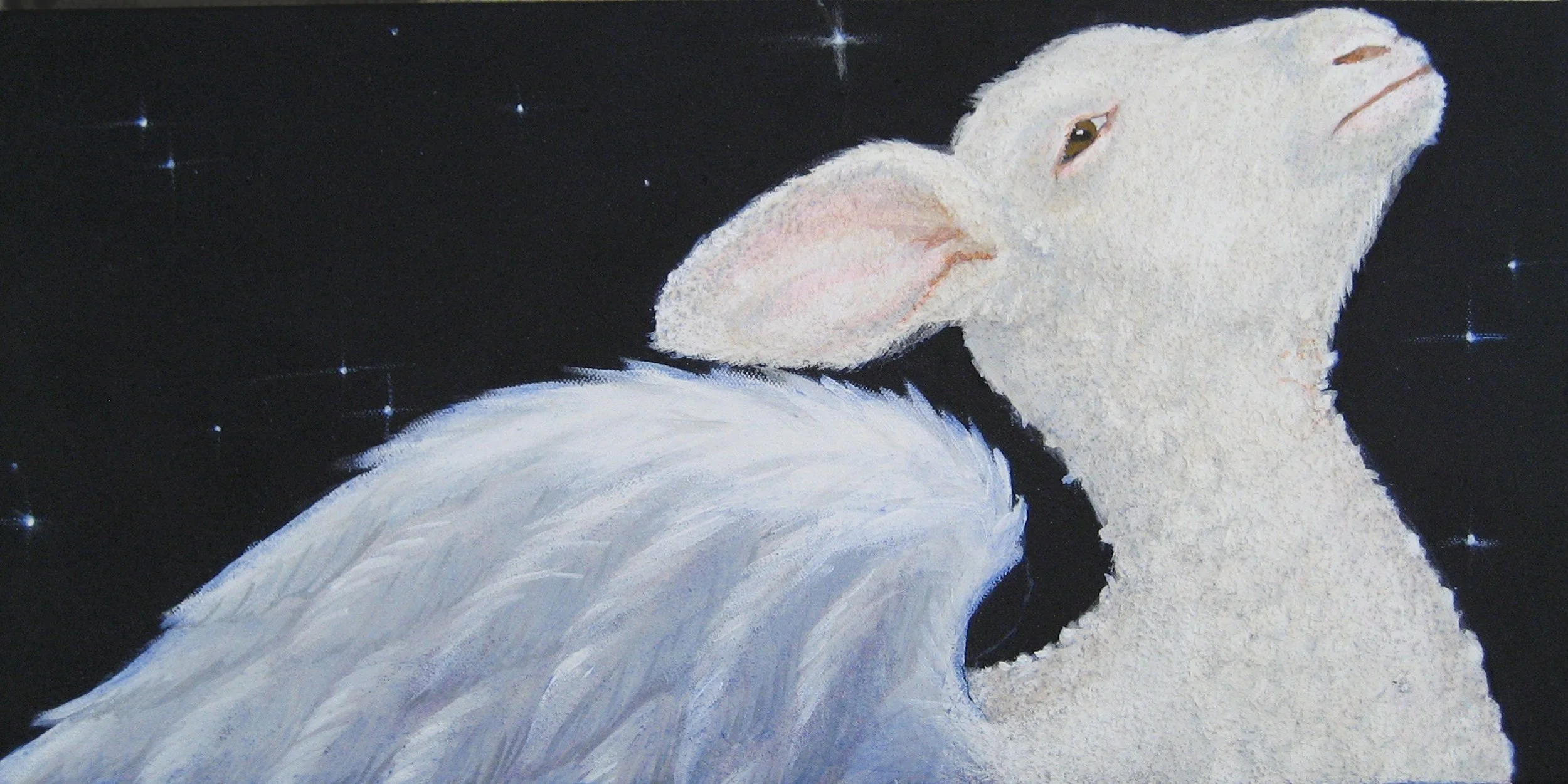Animal Reunion: Work by Jane O'Hara