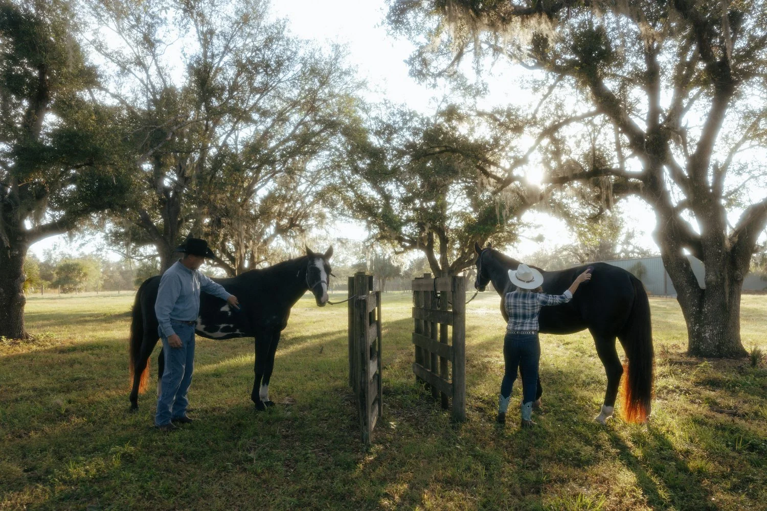 Ribbon Cutting &amp; Grand Opening