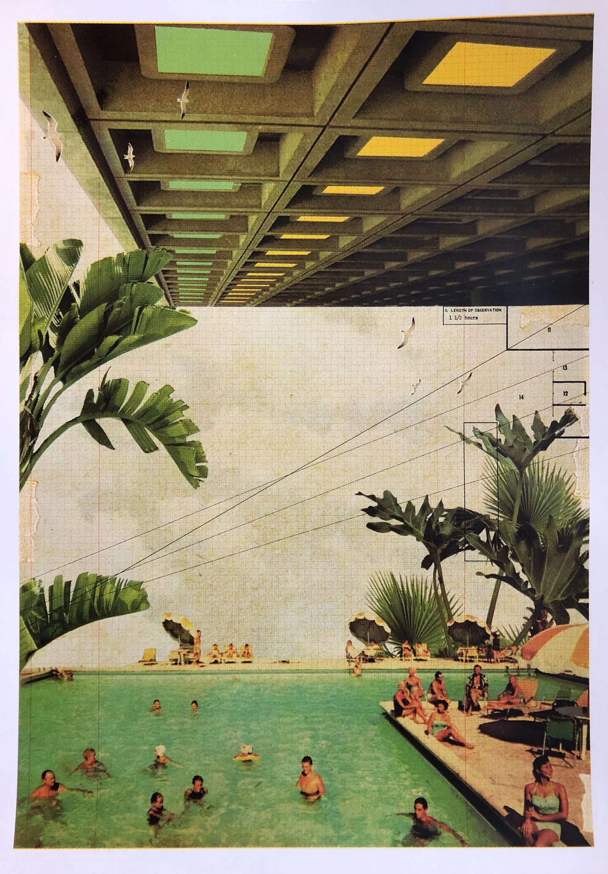 Maxine-Gregson-Tropical-swim-Screenprint-50x70cm-North-London-Printmakers.jpeg