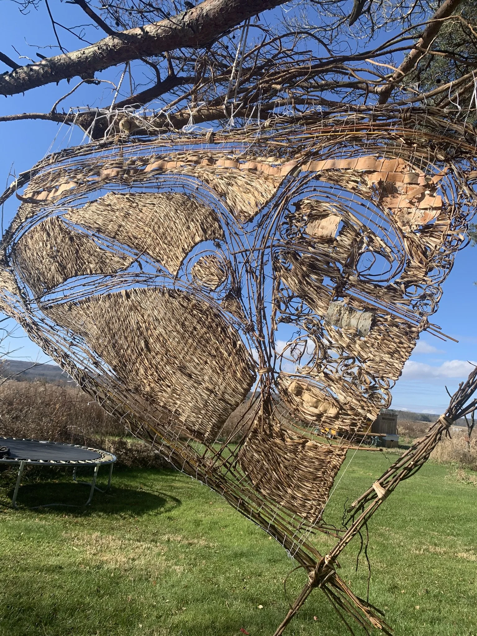 Weaving the Land: an artist talk