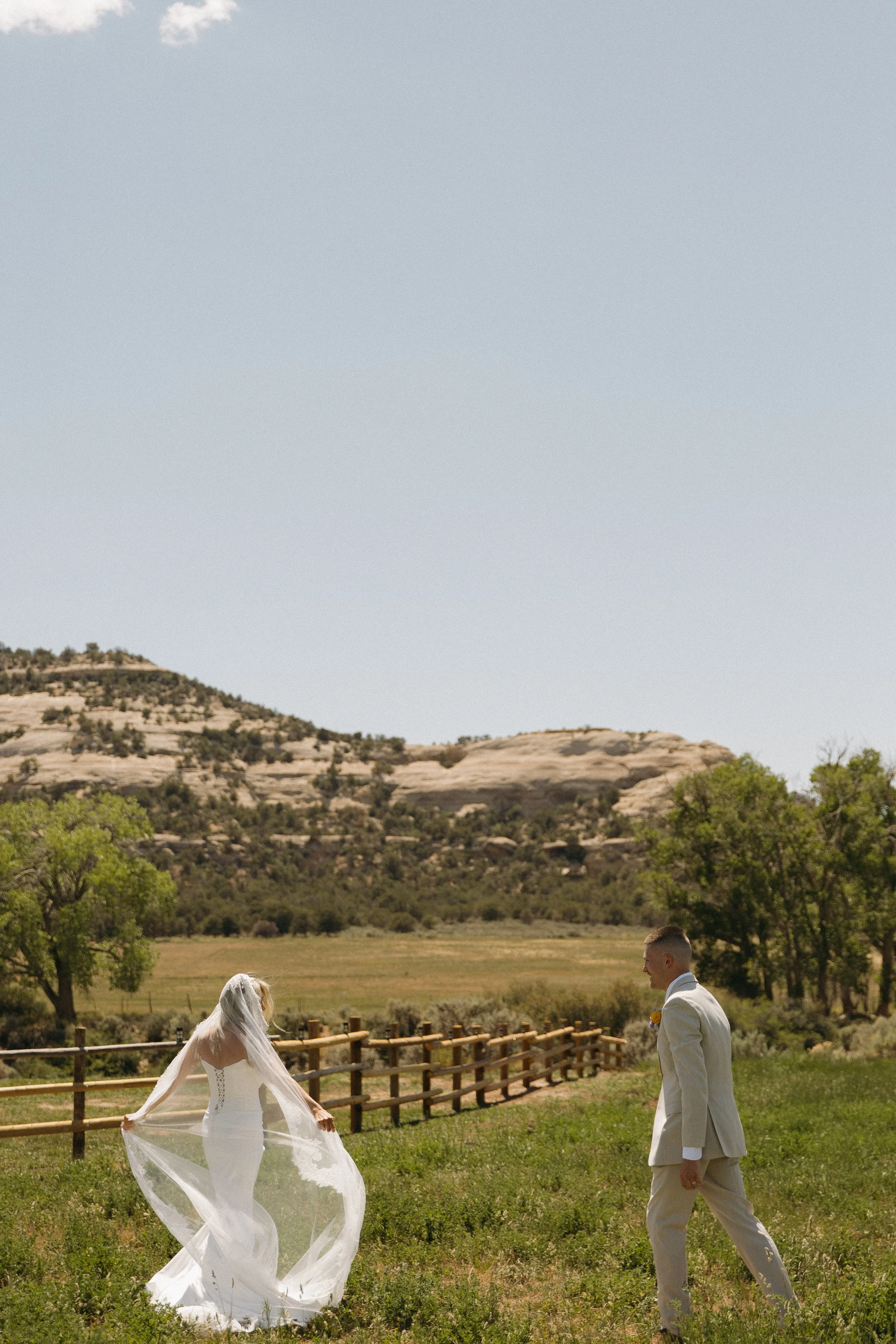 Planning Your Dream Destination Wedding in Colorado