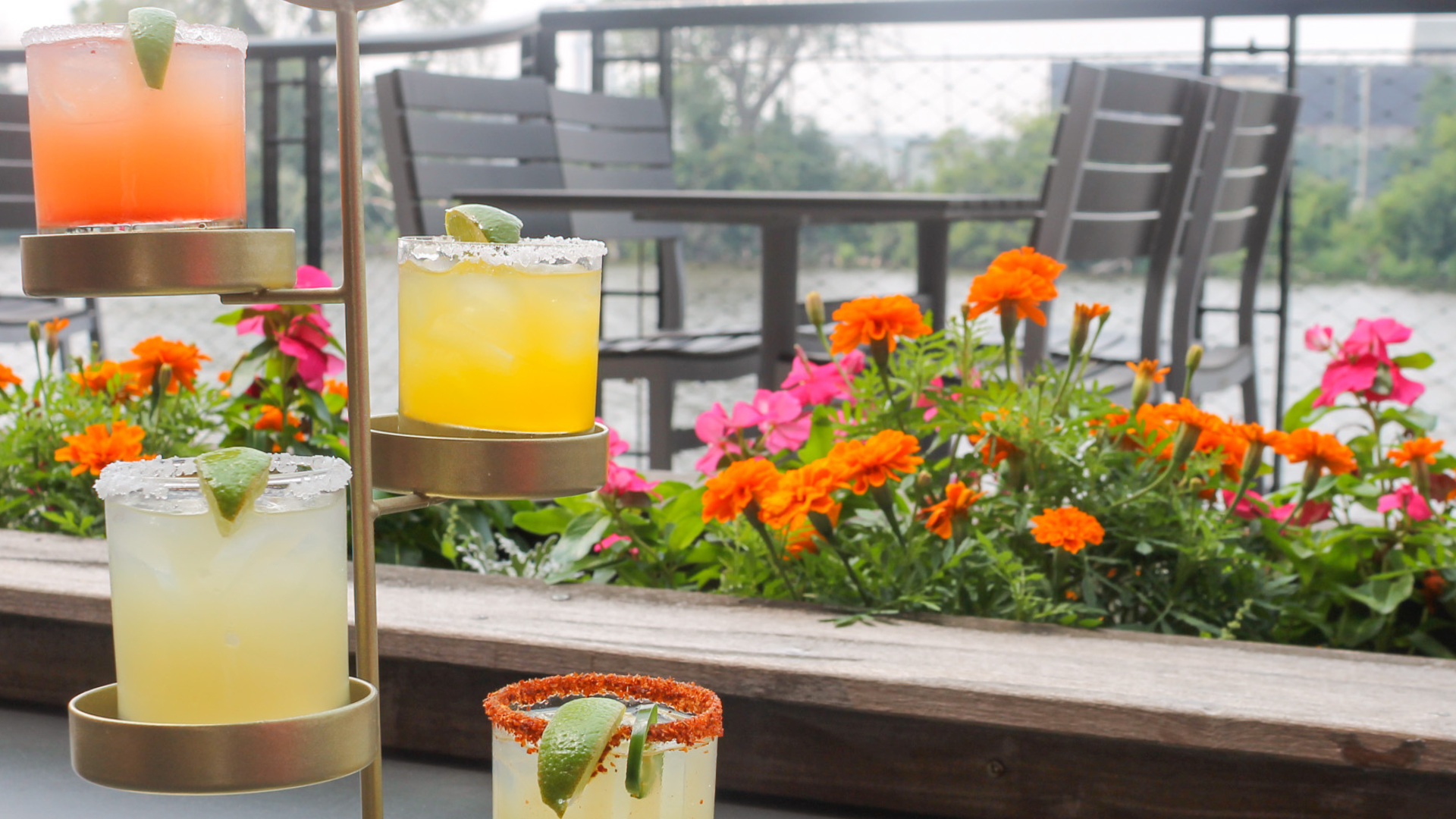 Celebrate National Tequila Day at Blue Bat Kitchen