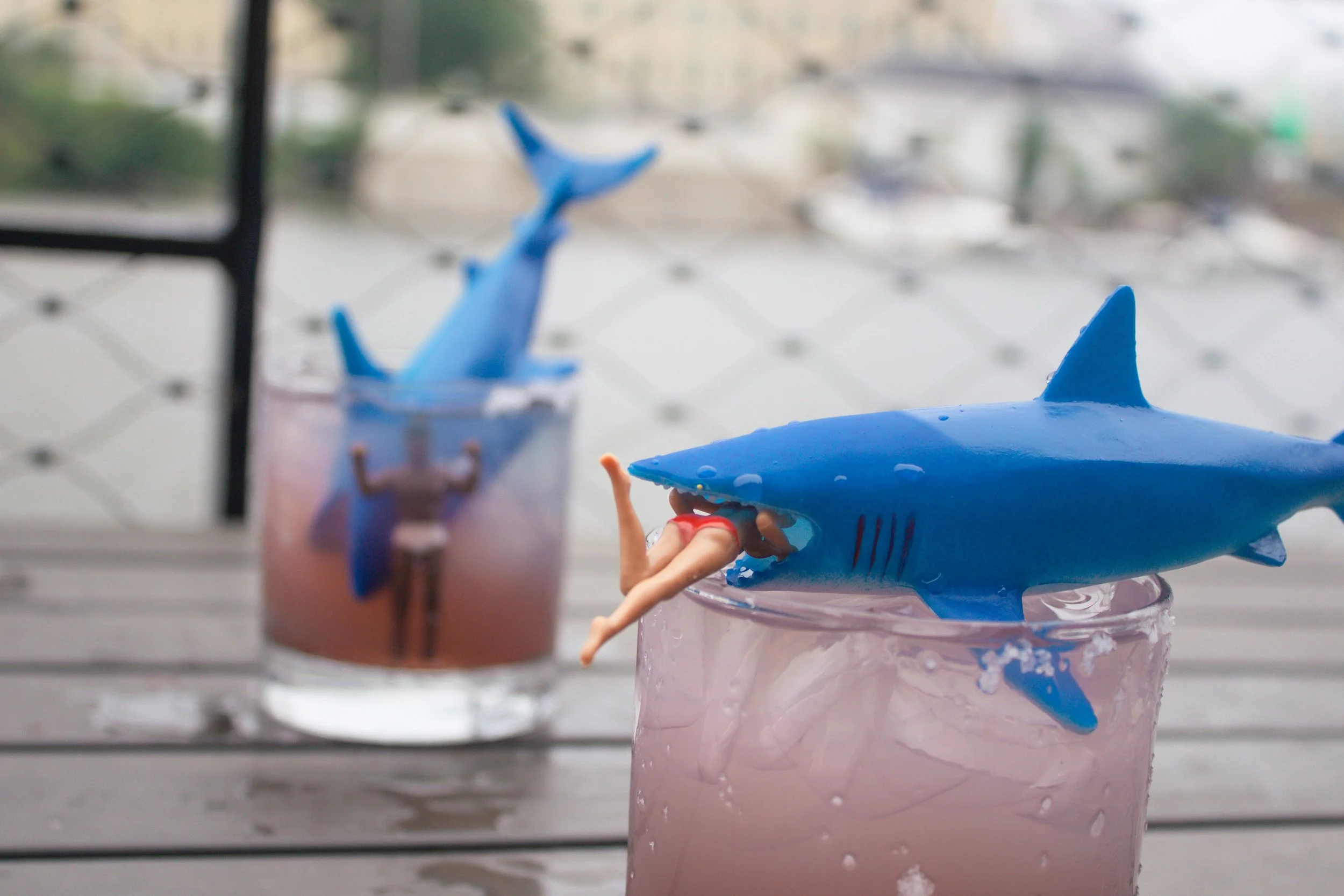 bbk-sharkweek-05.jpg
