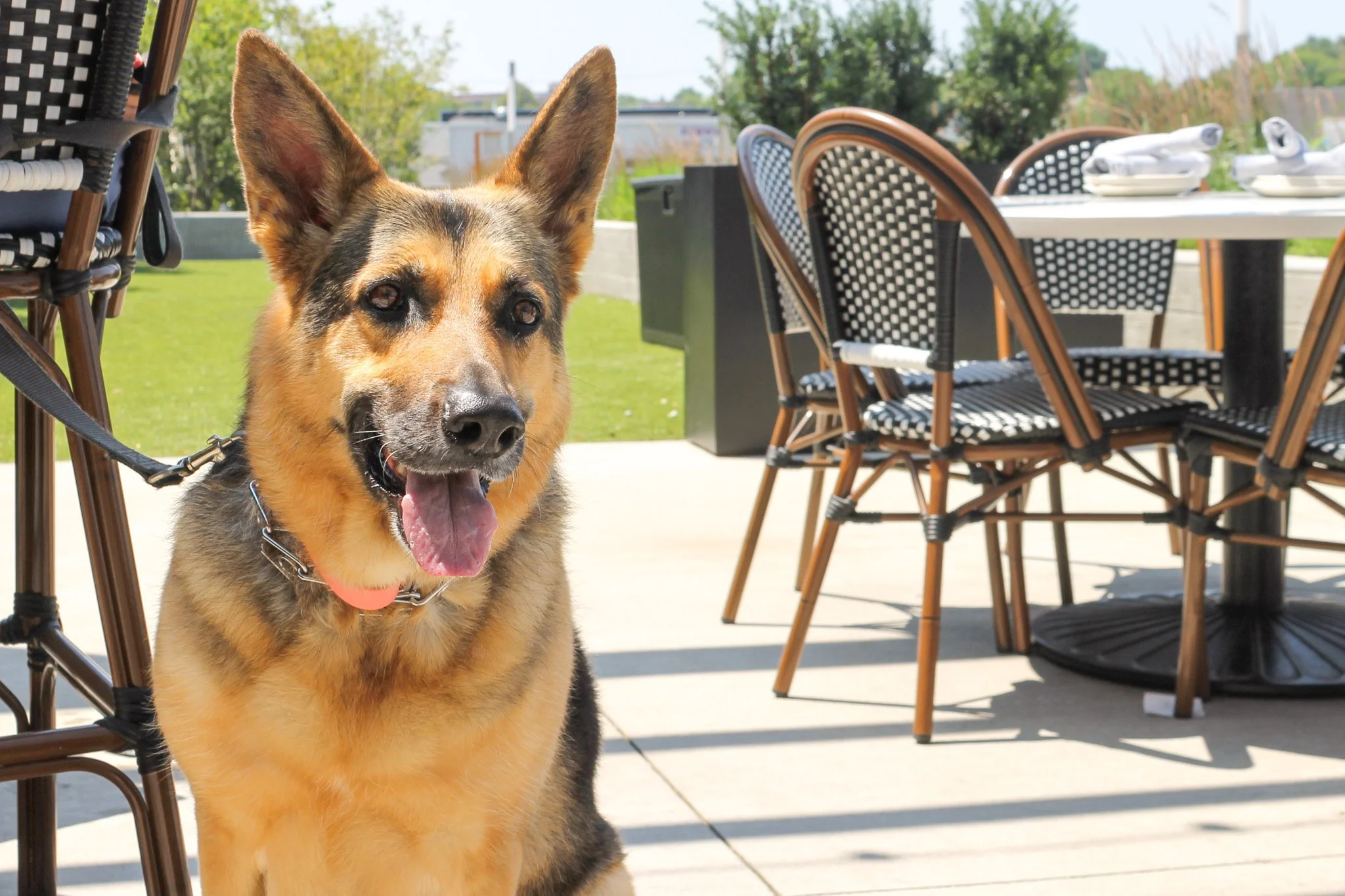 summer-patio137.jpg