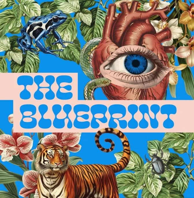 The-Blueprint_Cover-Artwork_v2-2.pdf.jpeg