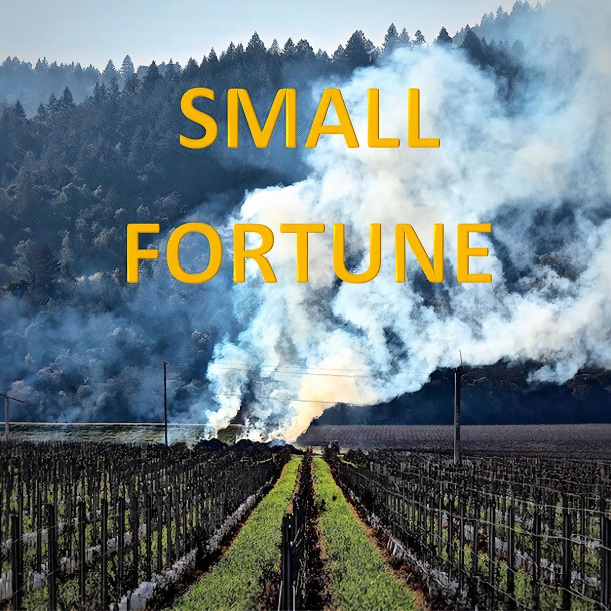 Case Study: Filling the B2B Knowledge Gap in the Wine Industry