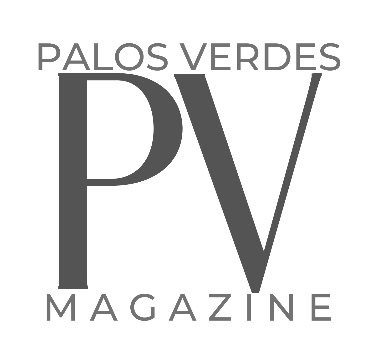 PV Democrats Featured In PV Magazine