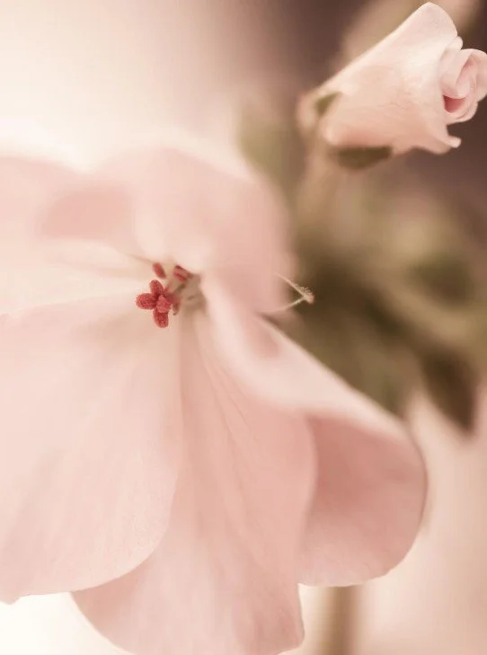 Why Mother’s Day Doesn’t Feel Like a Gift