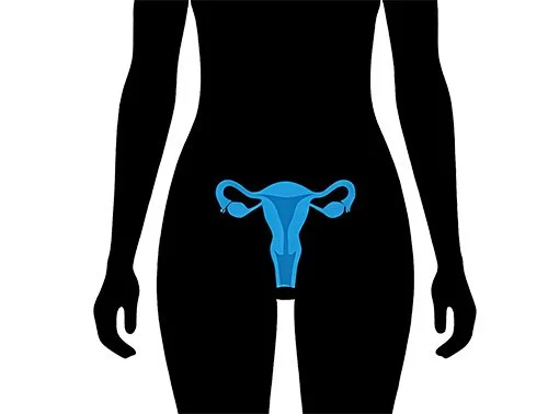 Gynecological Surgery