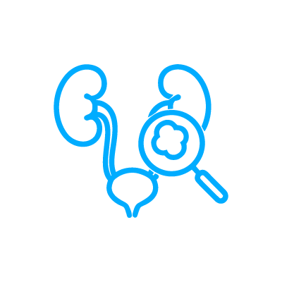 Pre-Operative Anatomical Review