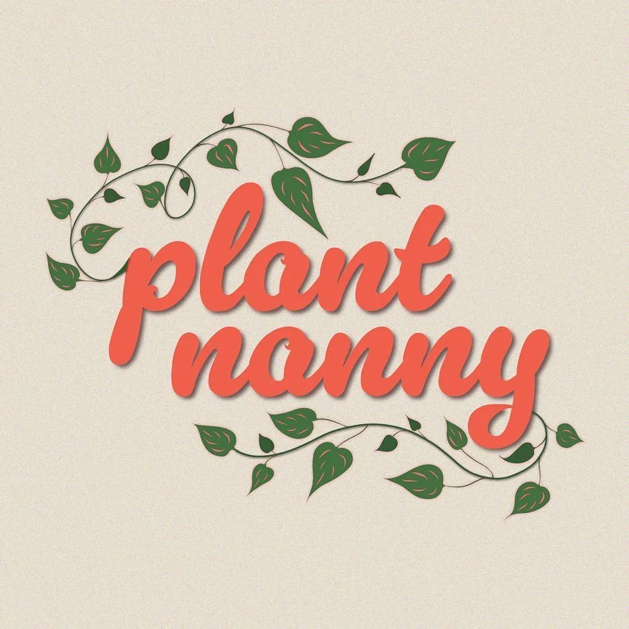 As many of you already know, I started my business @plant___nanny two months ago now! ✨🤸🏻&zwj;♂️✨ go check out my page! 

Plant 🪴 Nanny is the care that comes to you. We offer anything and everything that your plant bbs might need 🌿 whether that 