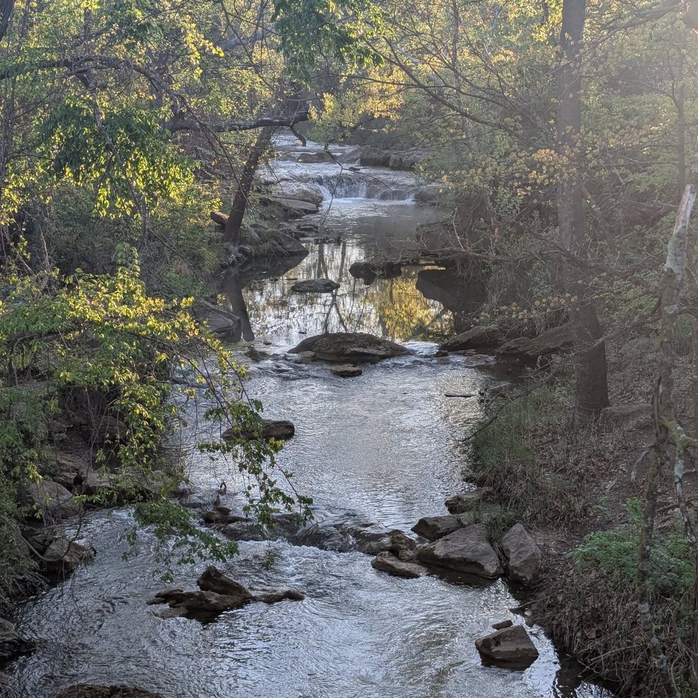 Reflections are abundant as the final in person Yoga Therapy training session is approaching- almost 4 years and 1000 hours of training - I began with curiosity - how to counter burnout and overwhelm - how to show up fully amidst chaos - how to trust