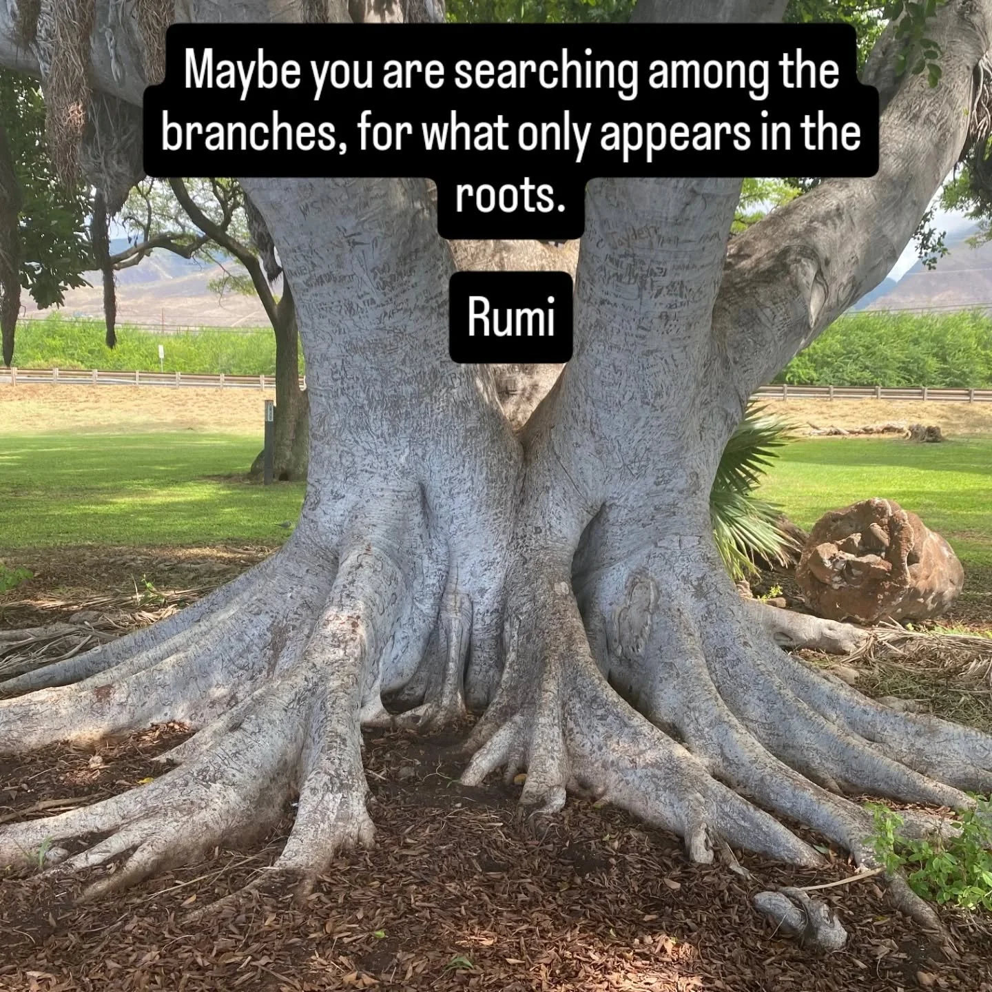 "There is so much outside our physical practice and a lot of times, that stuff outside the physical practice is where we find that stuff we are searching for." @lauragyoga 

Completing Anatomy for Yoga  Part 2: Teacher Training Workshop Ser