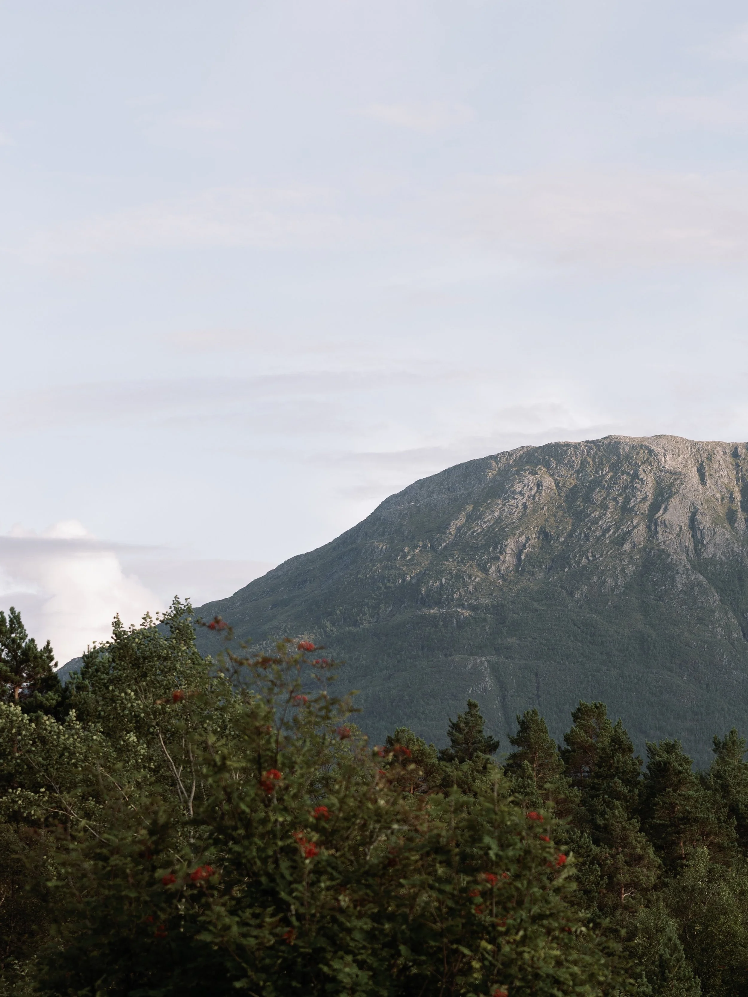 Above the fjord.