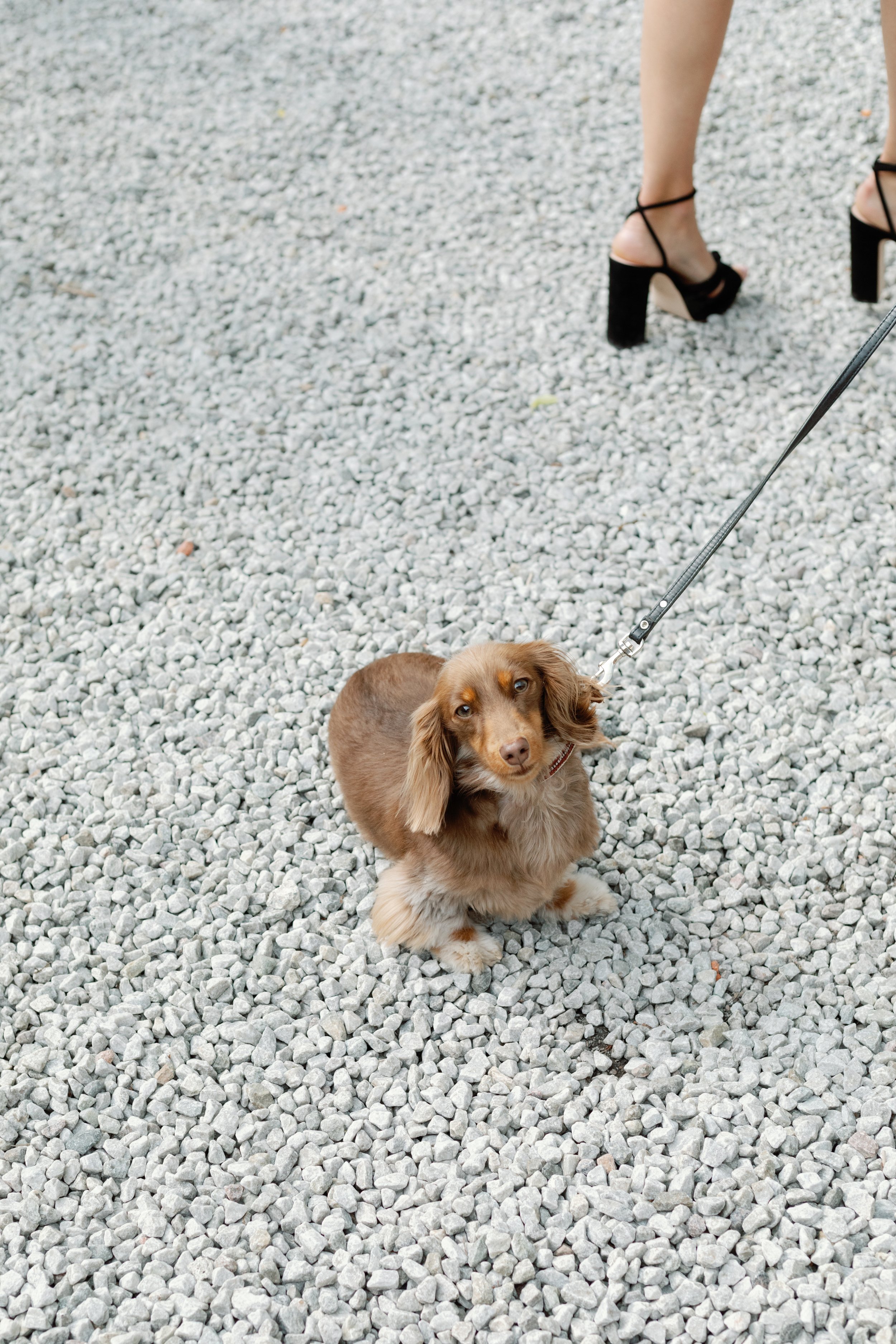 Alice&Adrien_CLARAMORTENSENPHOTOGRAPHY-360.jpg