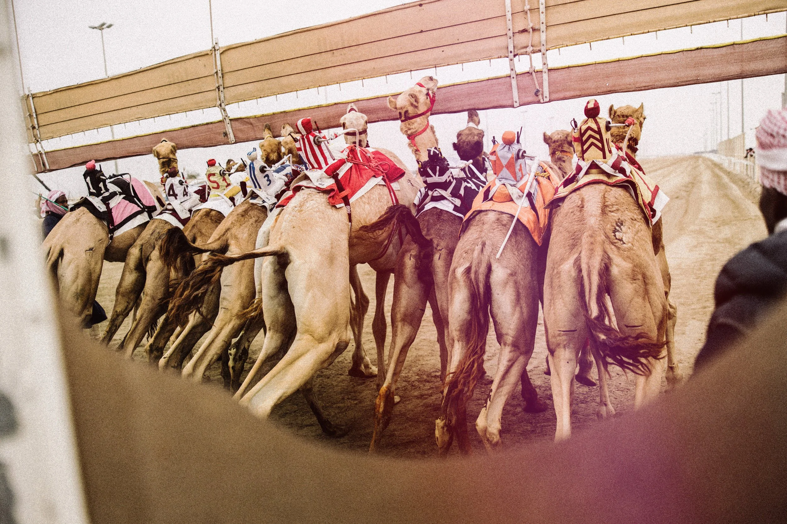 005A5631 Kopie 2.jpg