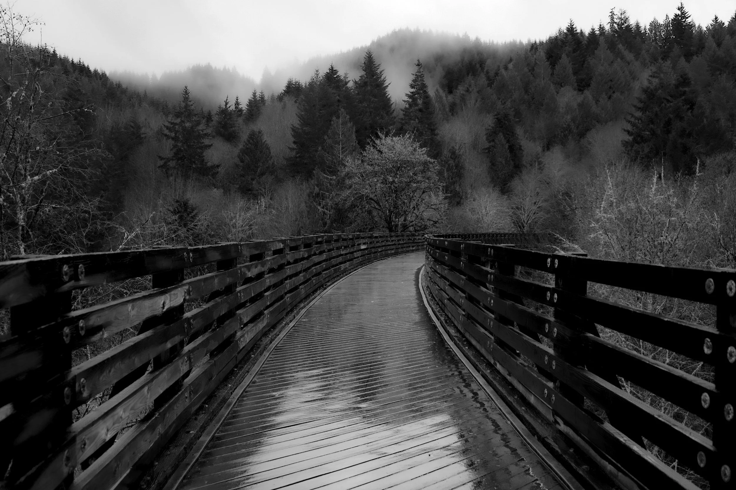 A Gentle Reminder (A Poem)