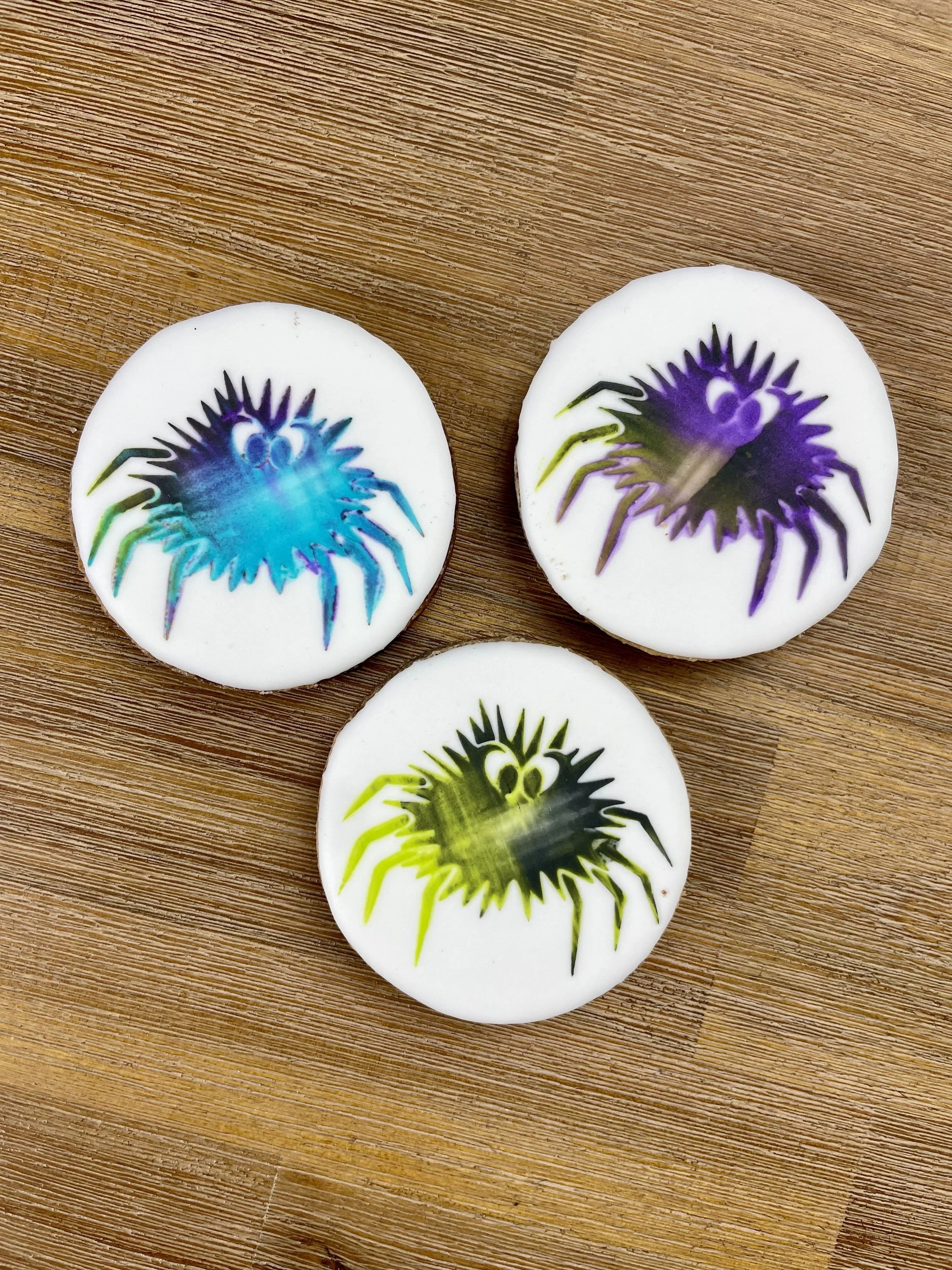 Hairy Spider Cookie Set 🕷️