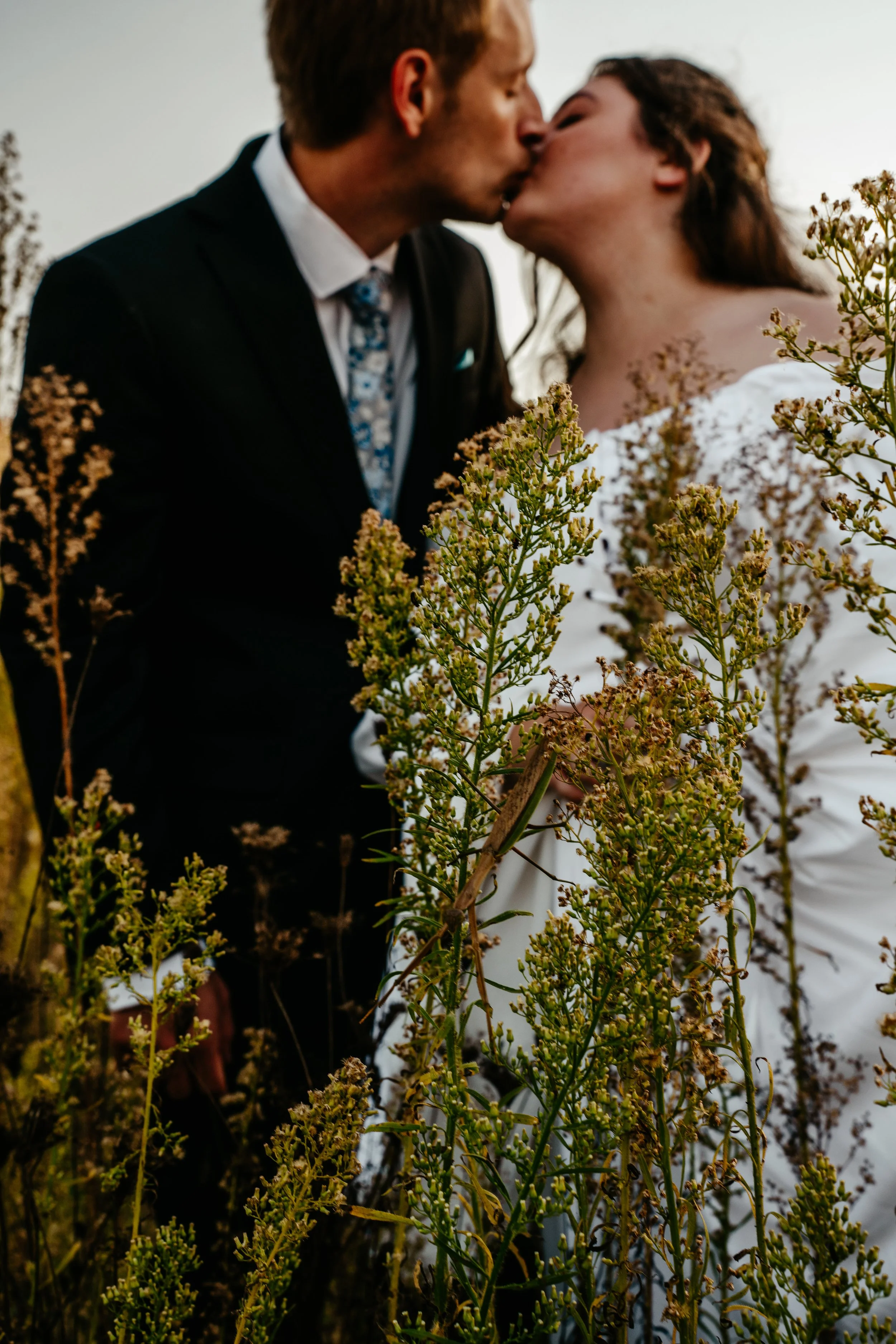 Wedding and Bridal Party Royal Oak Michigan