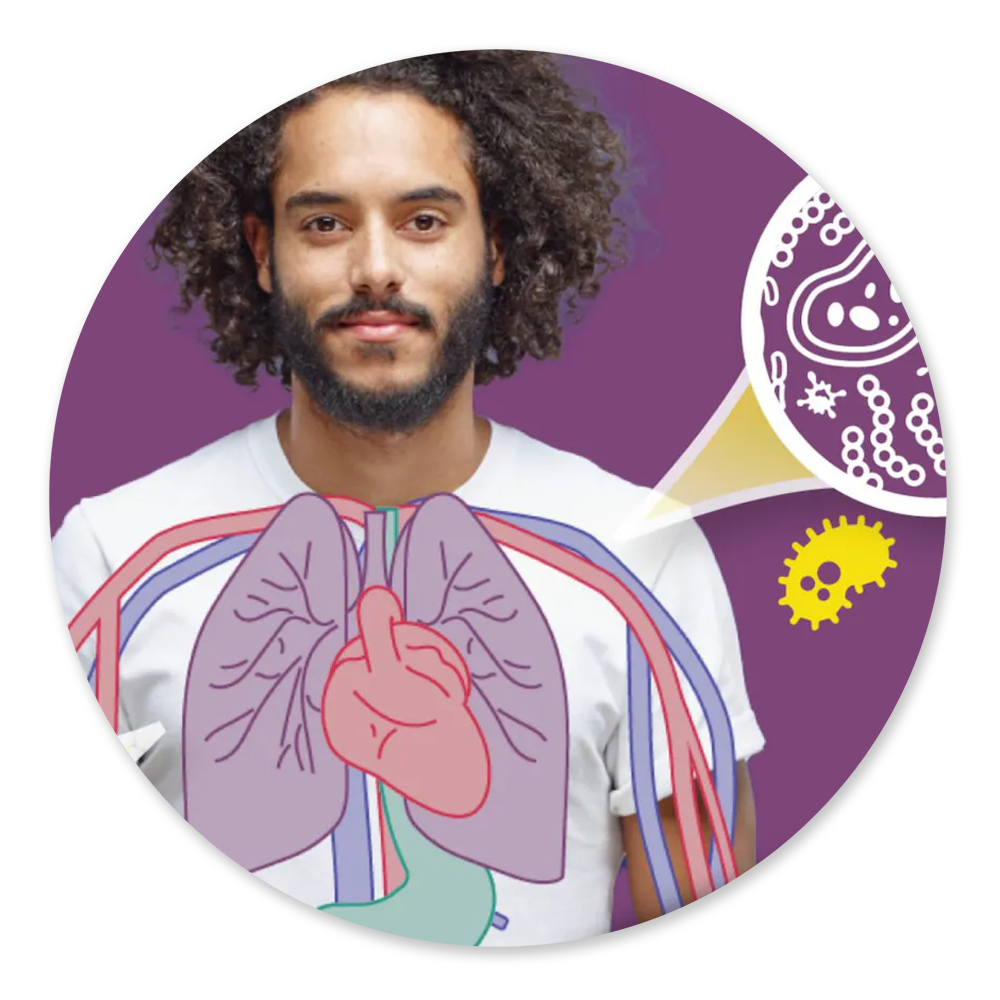 A man with an illustration on top of his chest showing his internal organs. There is a callout that is an icon of germs that is pointing to his body.