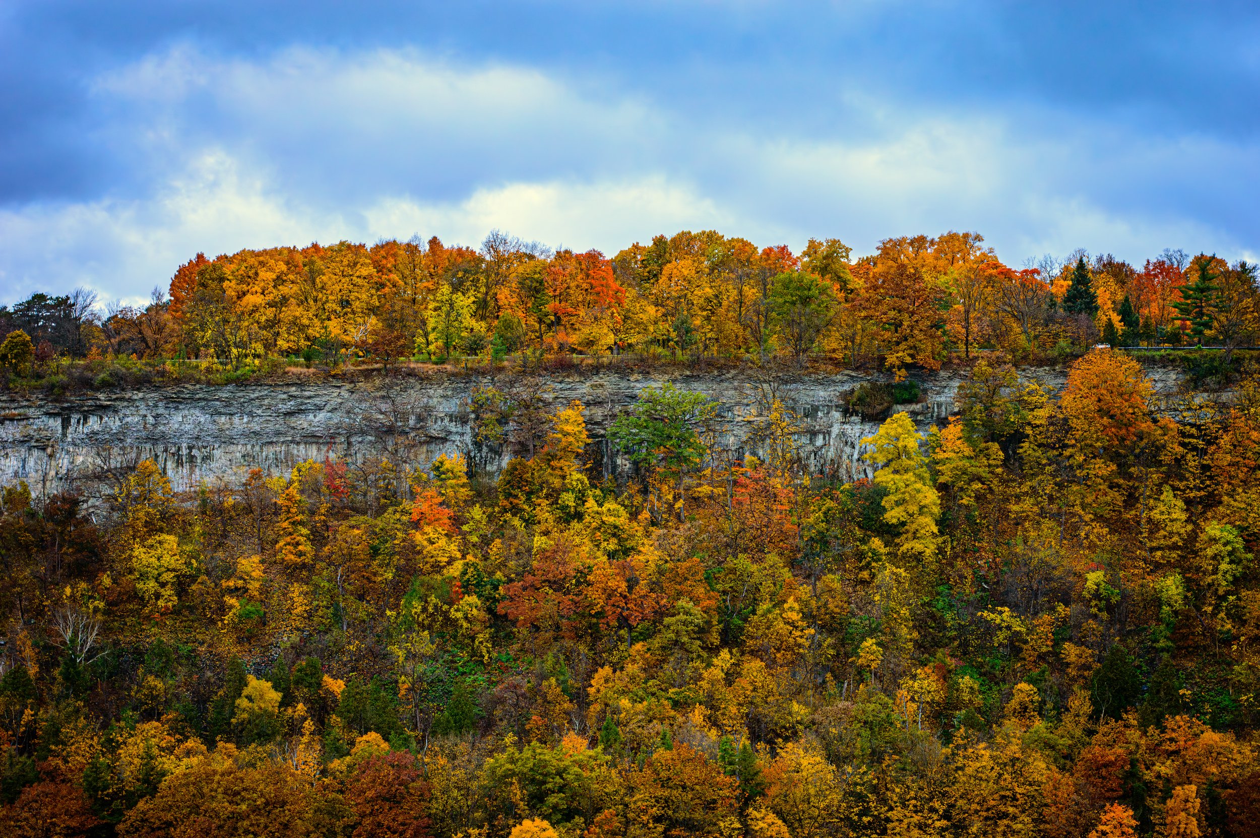 2023.10.29 - NIagra Gorge Rim trail (11 of 14).JPG