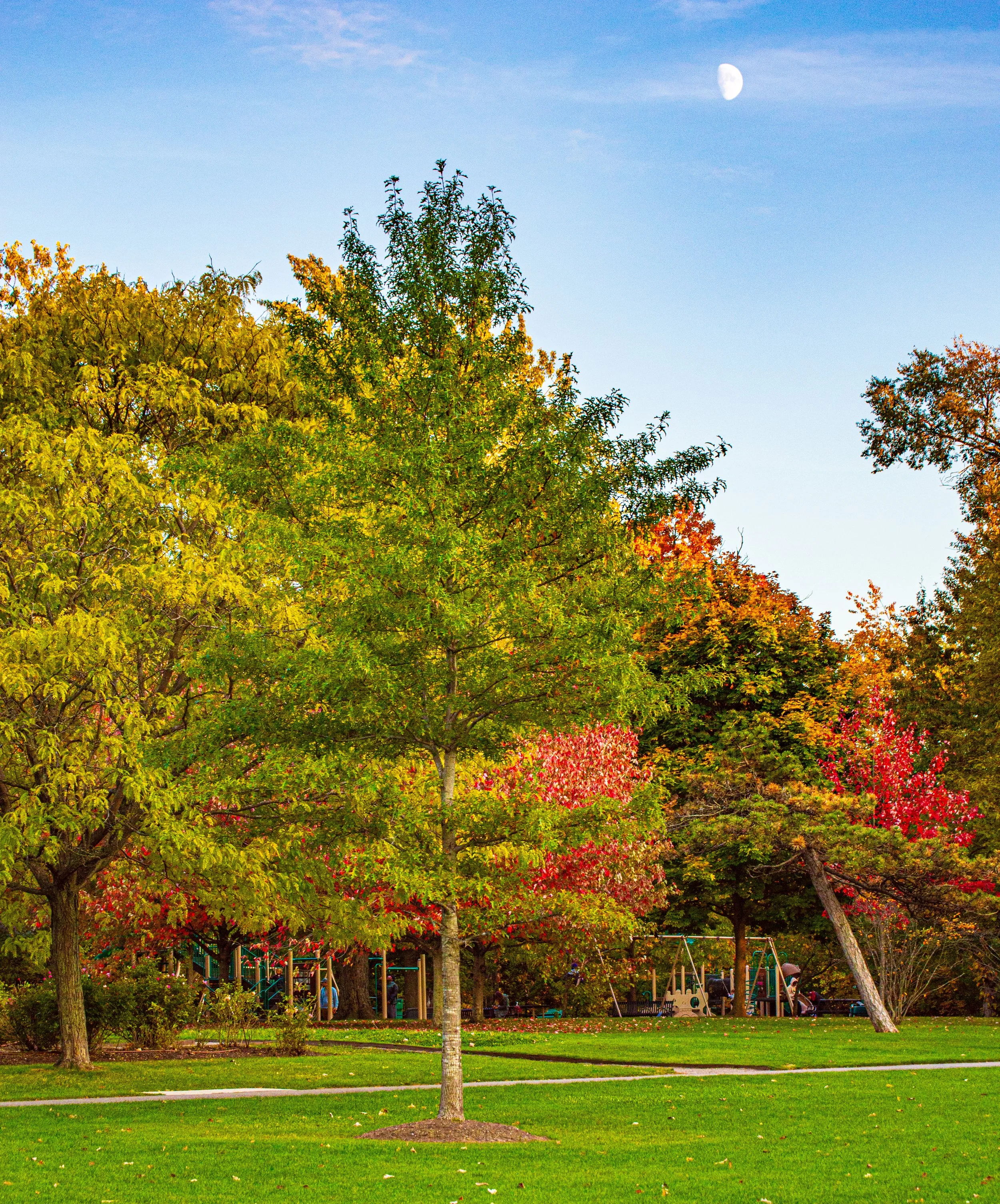 2023.10.23 - Hoyt Lake Sesh-10.JPG