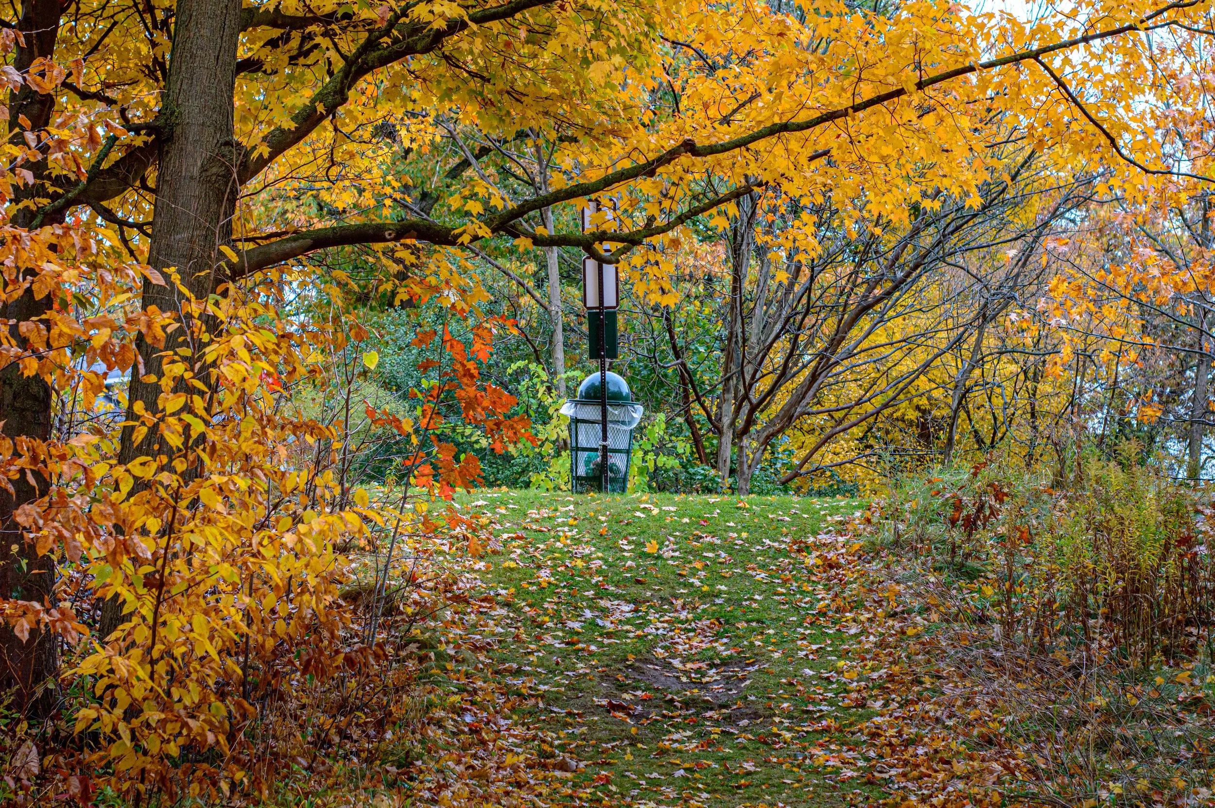 2023.10.29 - NIagra Gorge Rim trail (10 of 14).JPG