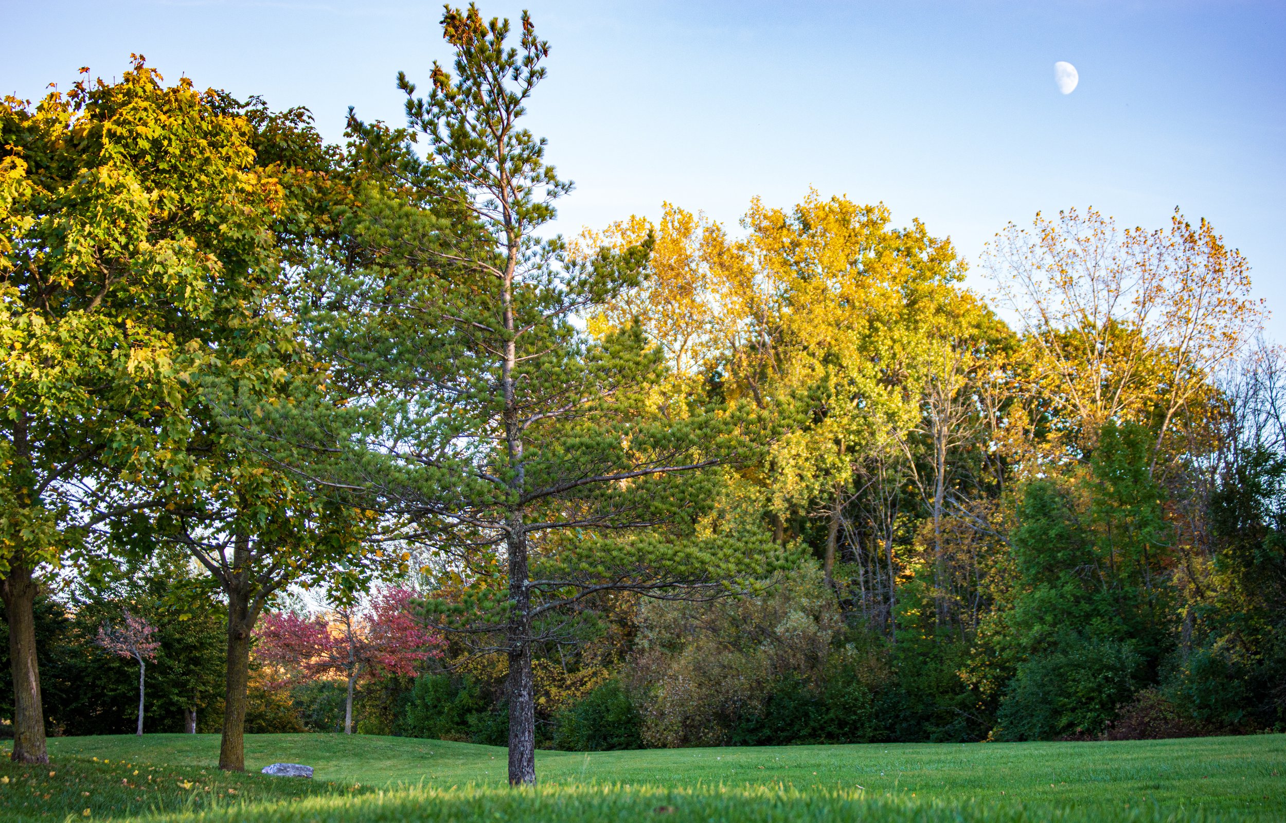 2023.10.23 - Hoyt Lake Sesh-6.JPG