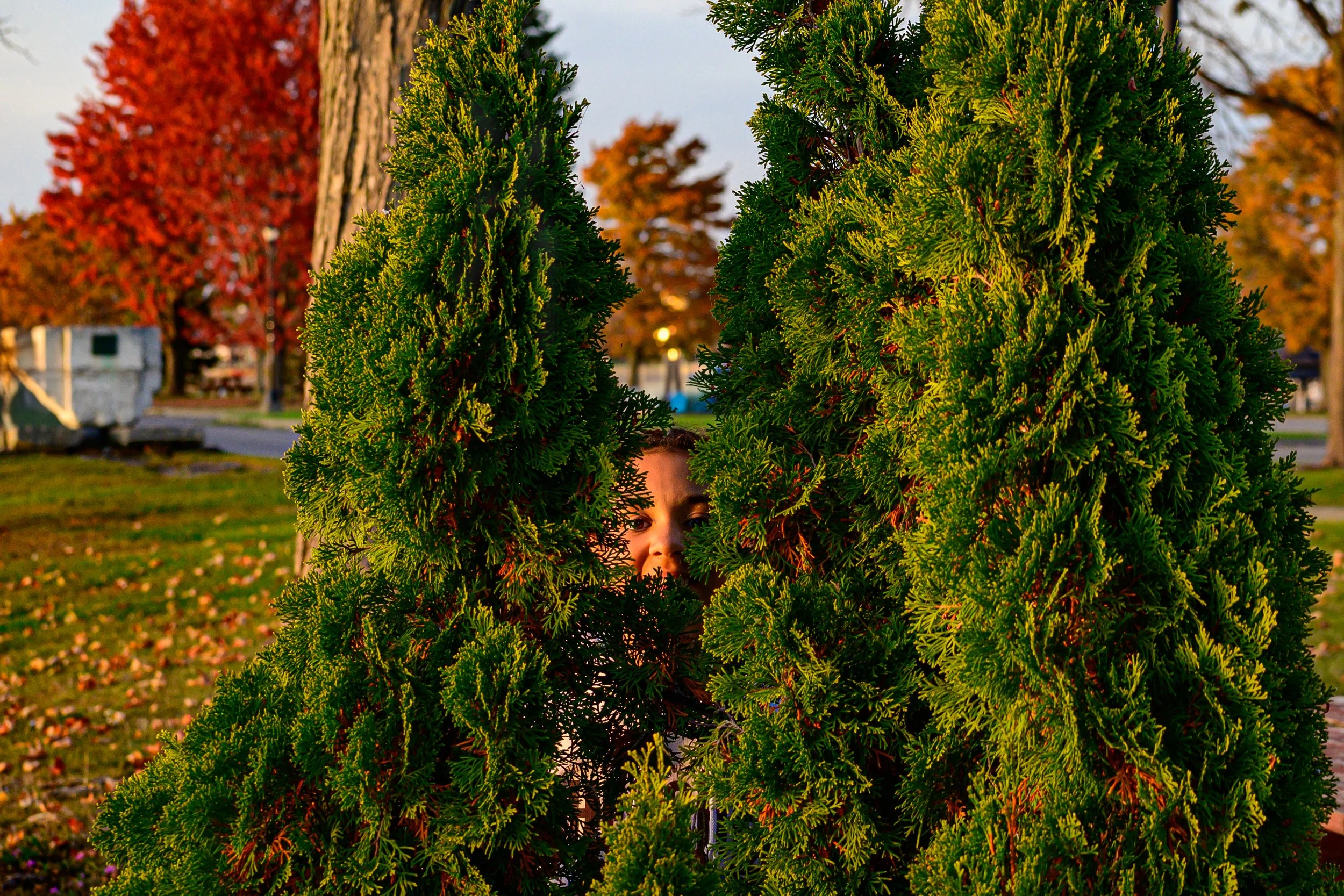 2024.10.23 - Canalside Sunset PT1-17.JPG