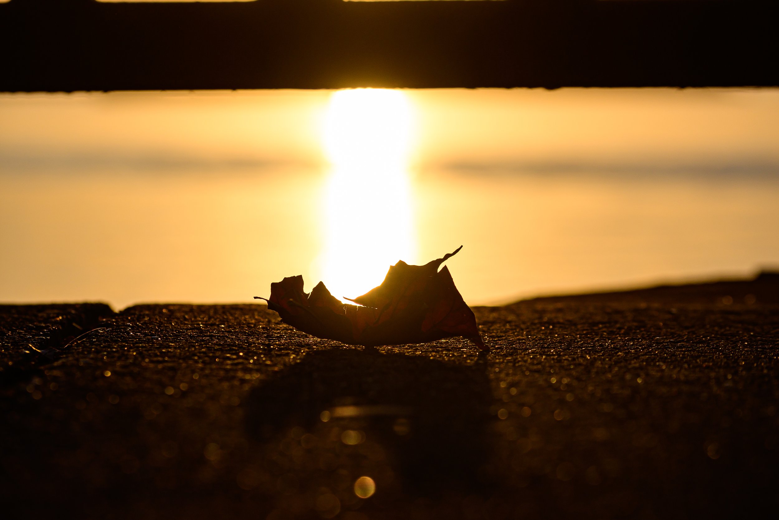 2024.10.23 - Canalside Sunset PT1-13.JPG