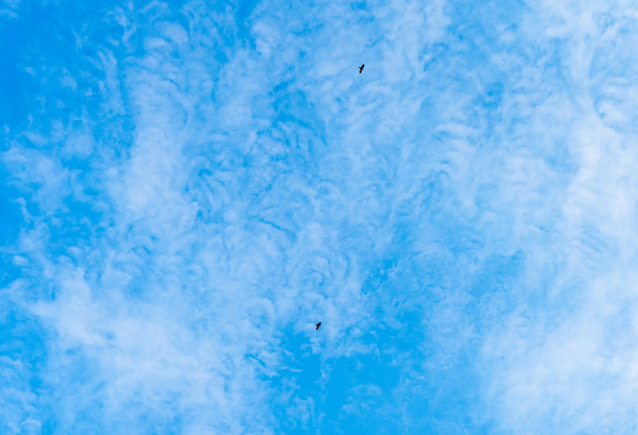 2023.10.23 - Hoyt Lake Sesh-11.JPG