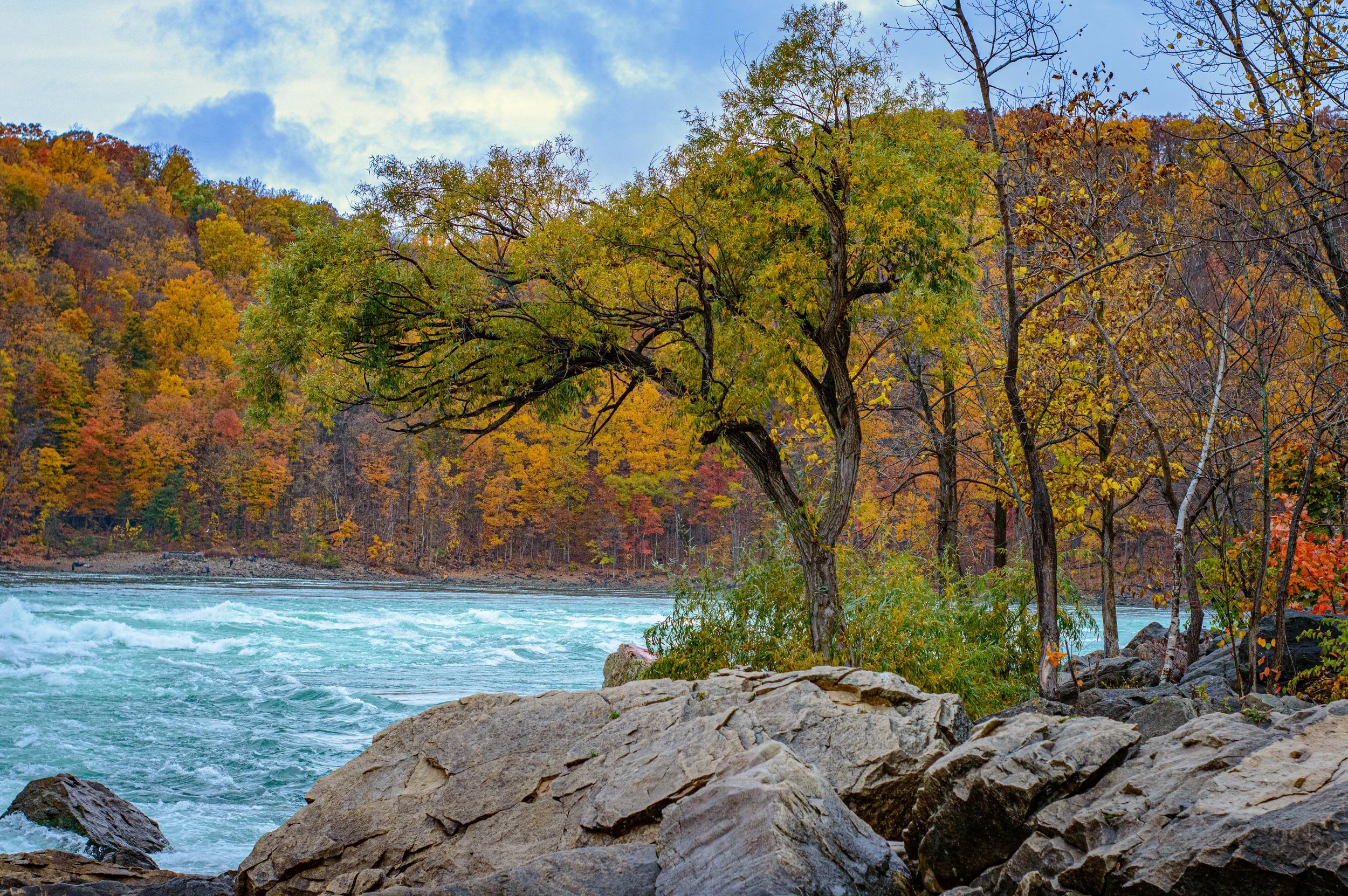 2023.10.29 - NIagra Gorge Rim trail (1 of 14).JPG