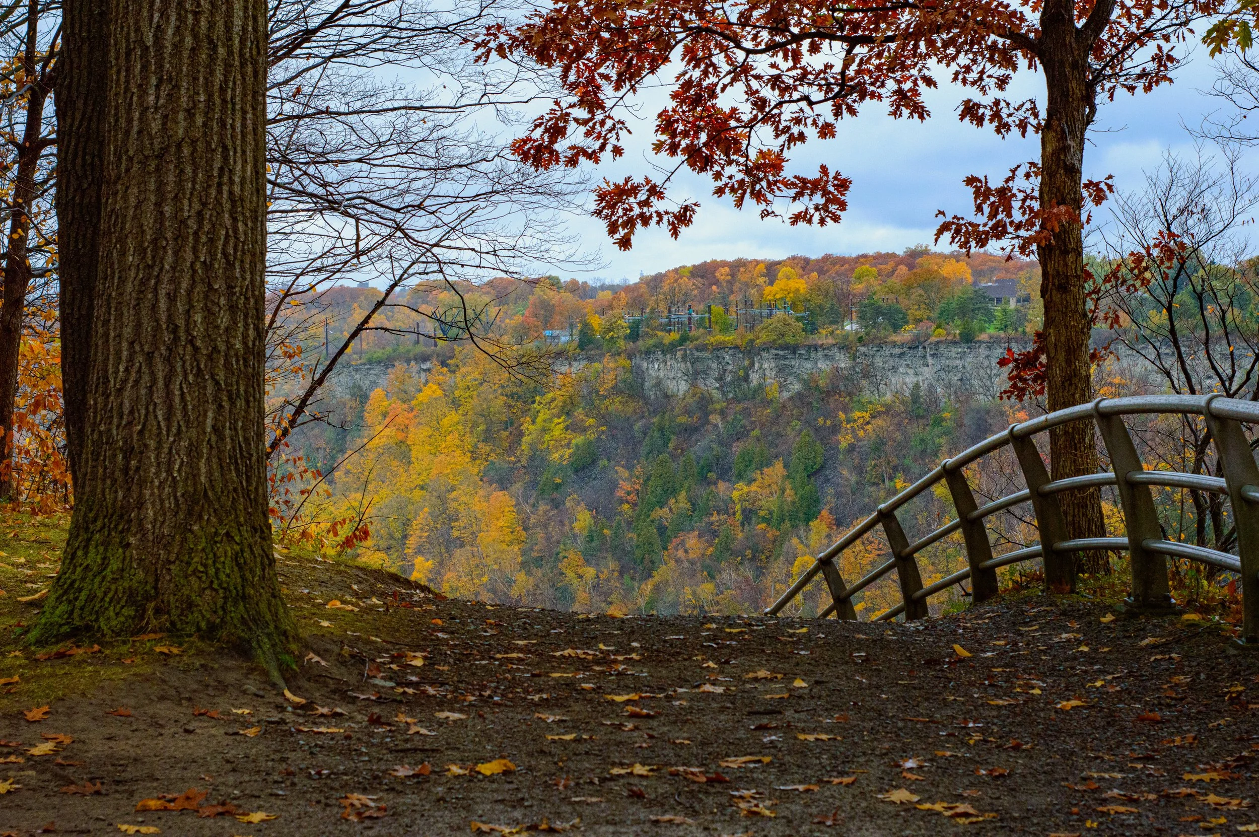 2023.10.29 - NIagra Gorge Rim trail (7 of 14).JPG