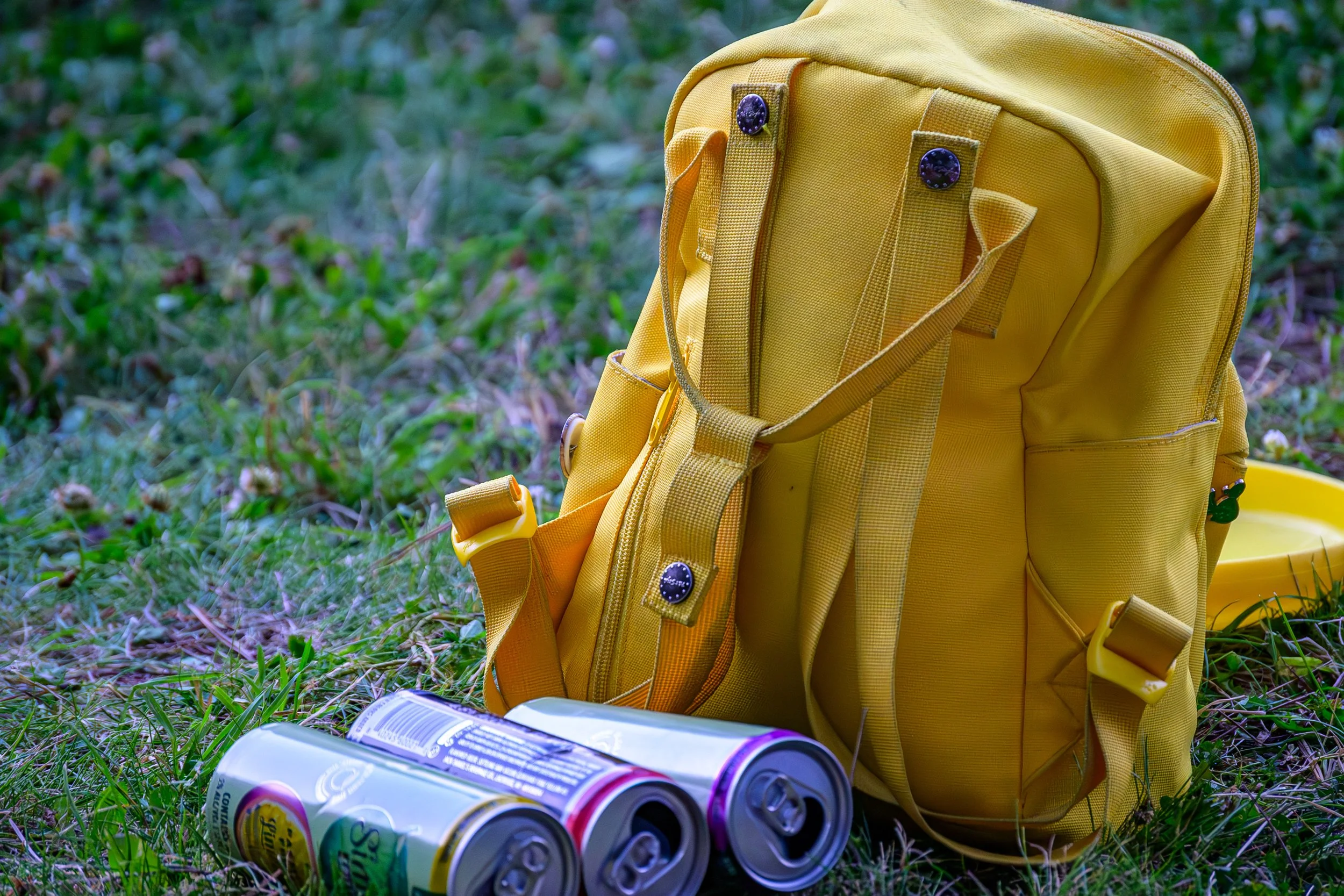 07.08.2024 - Flow-27.JPG