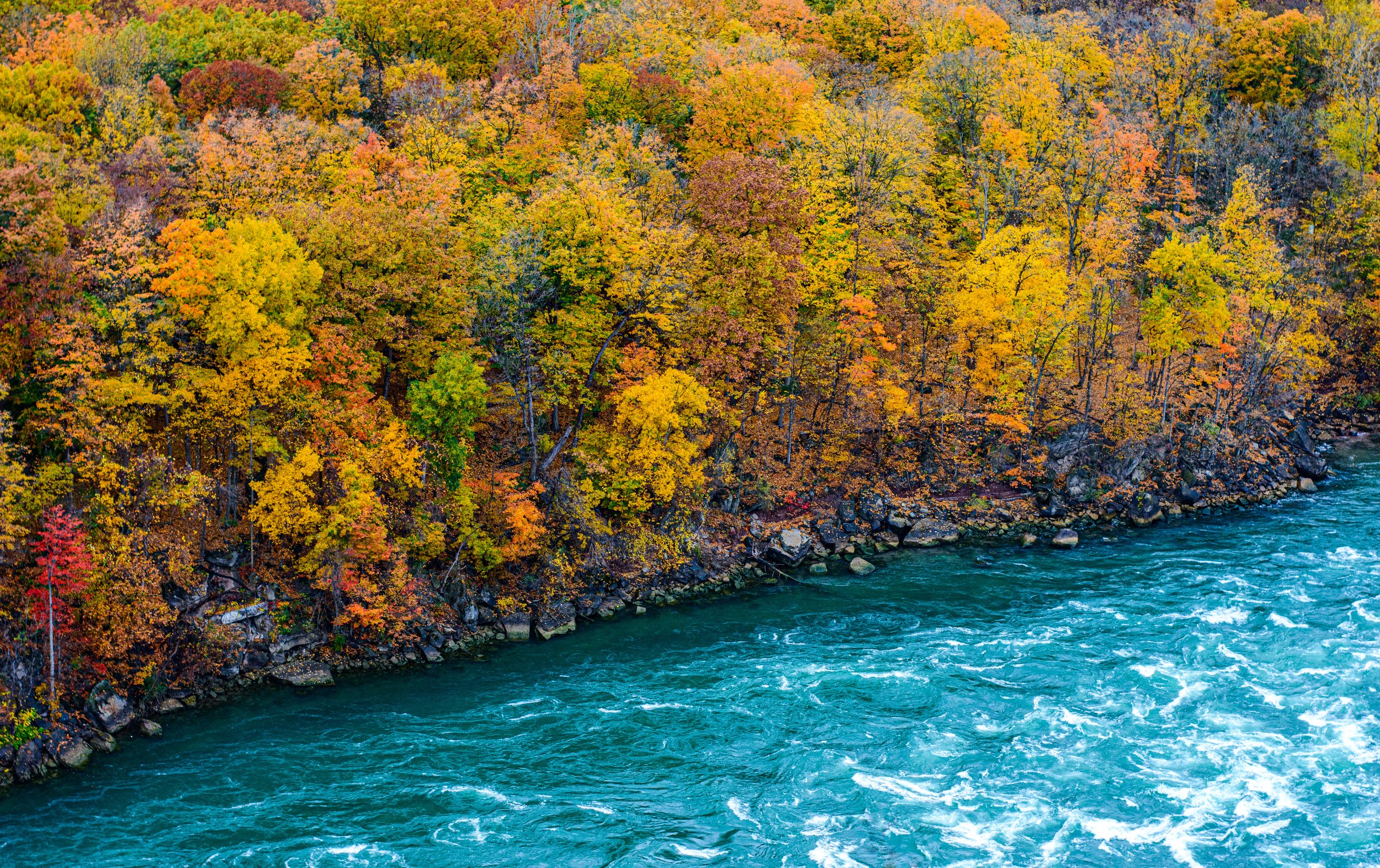 2023.10.29 - NIagra Gorge Rim trail (2 of 14).JPG
